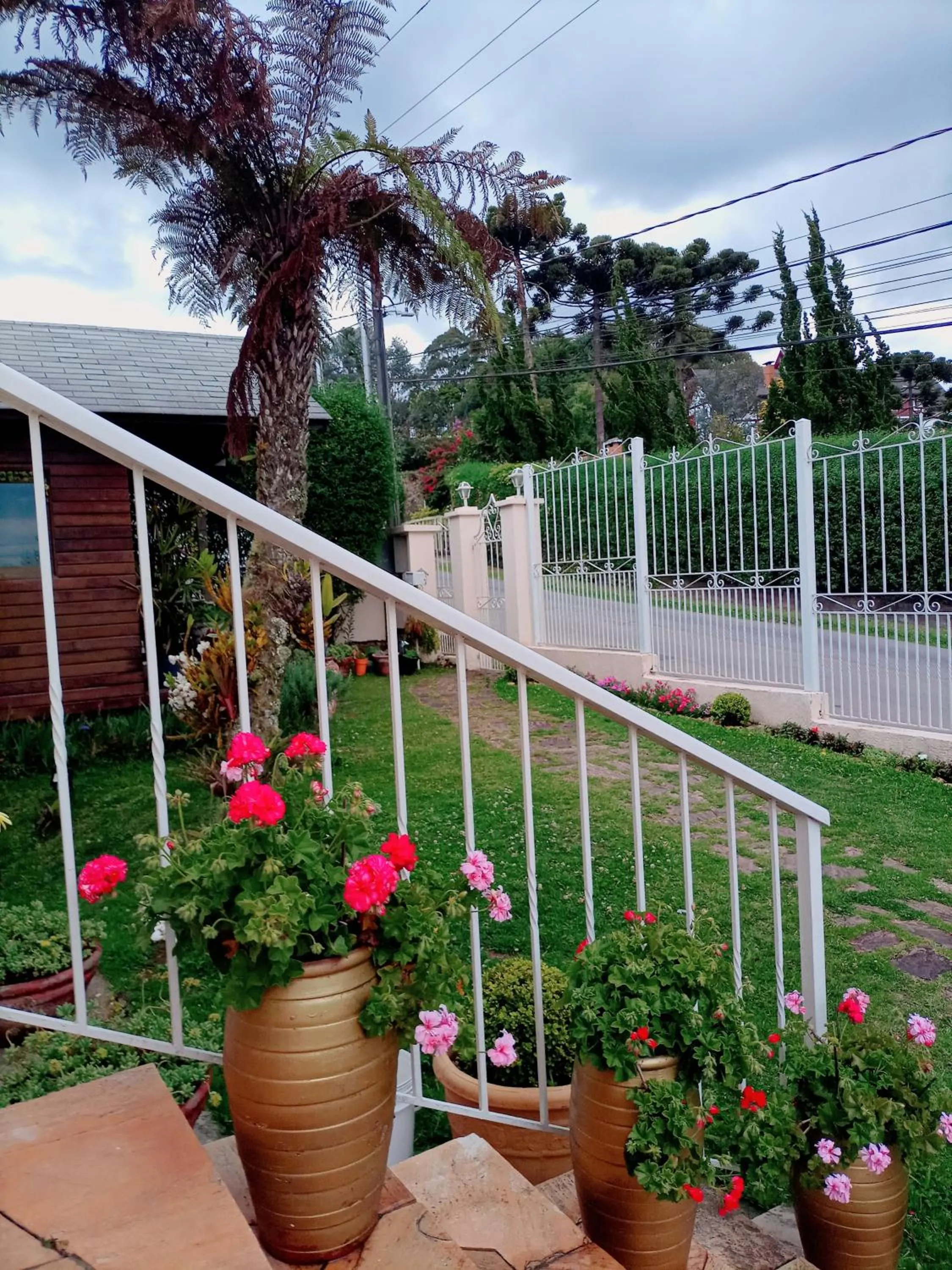 Garden in Pousada Confraria da Terra