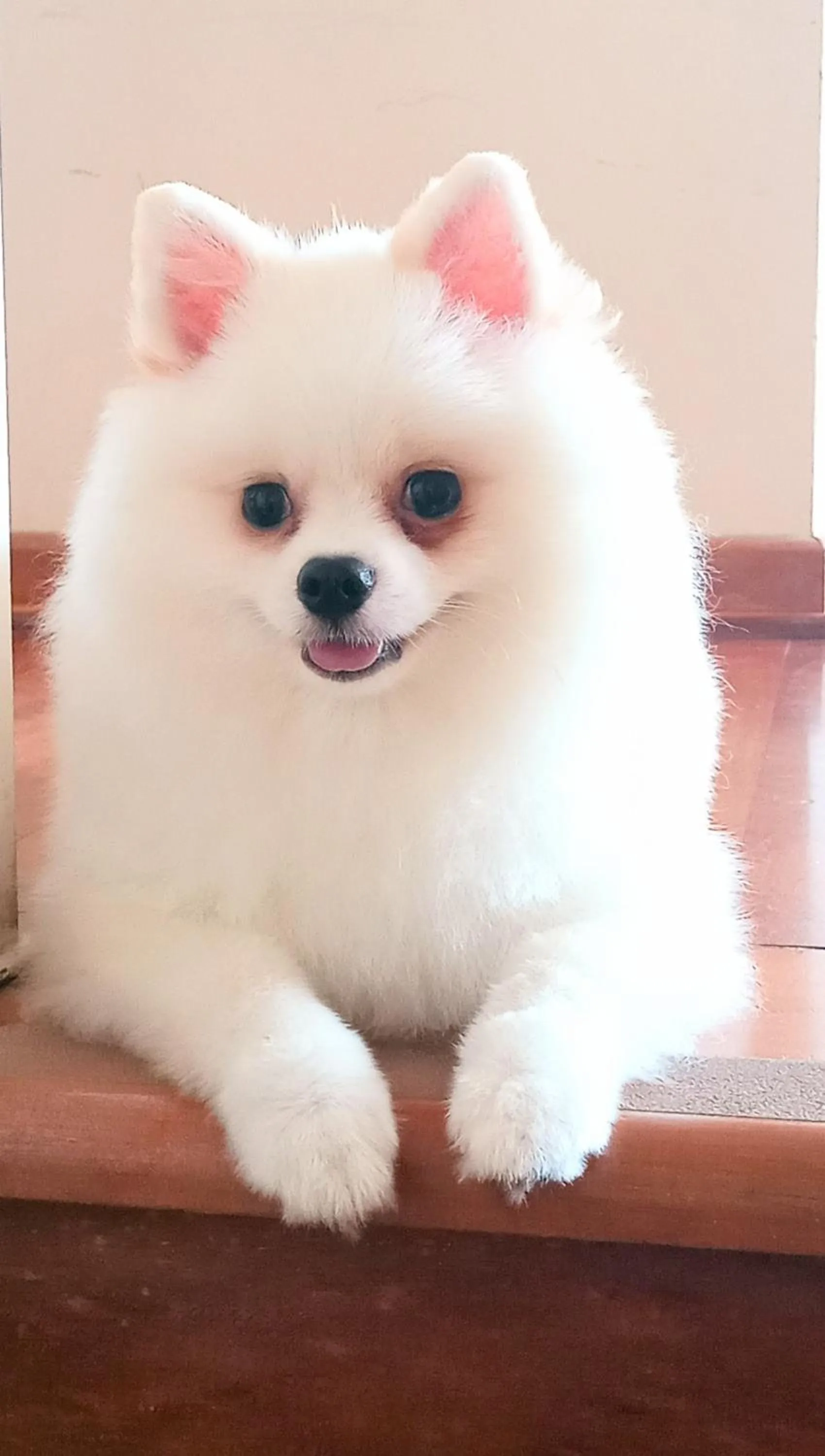 Pousada Confraria da Terra