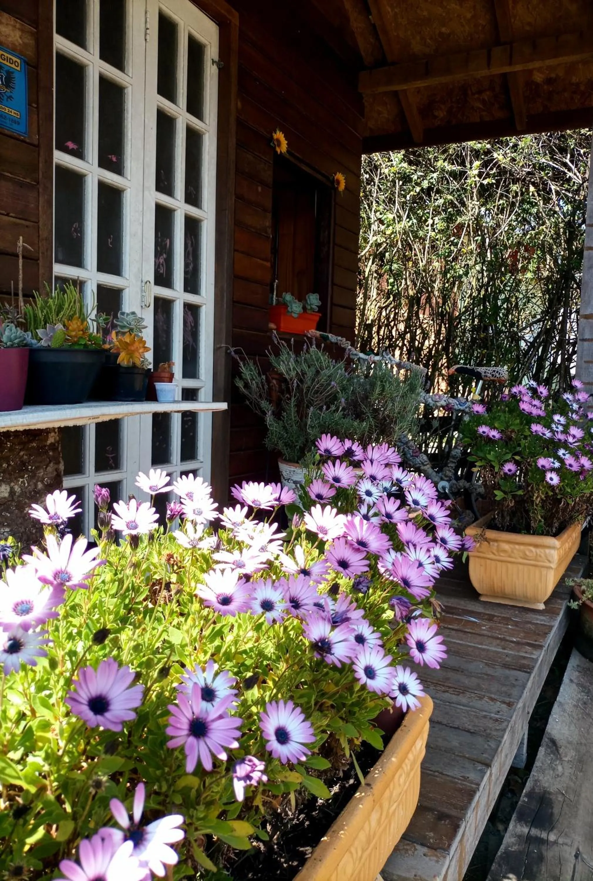 Spring in Pousada Confraria da Terra