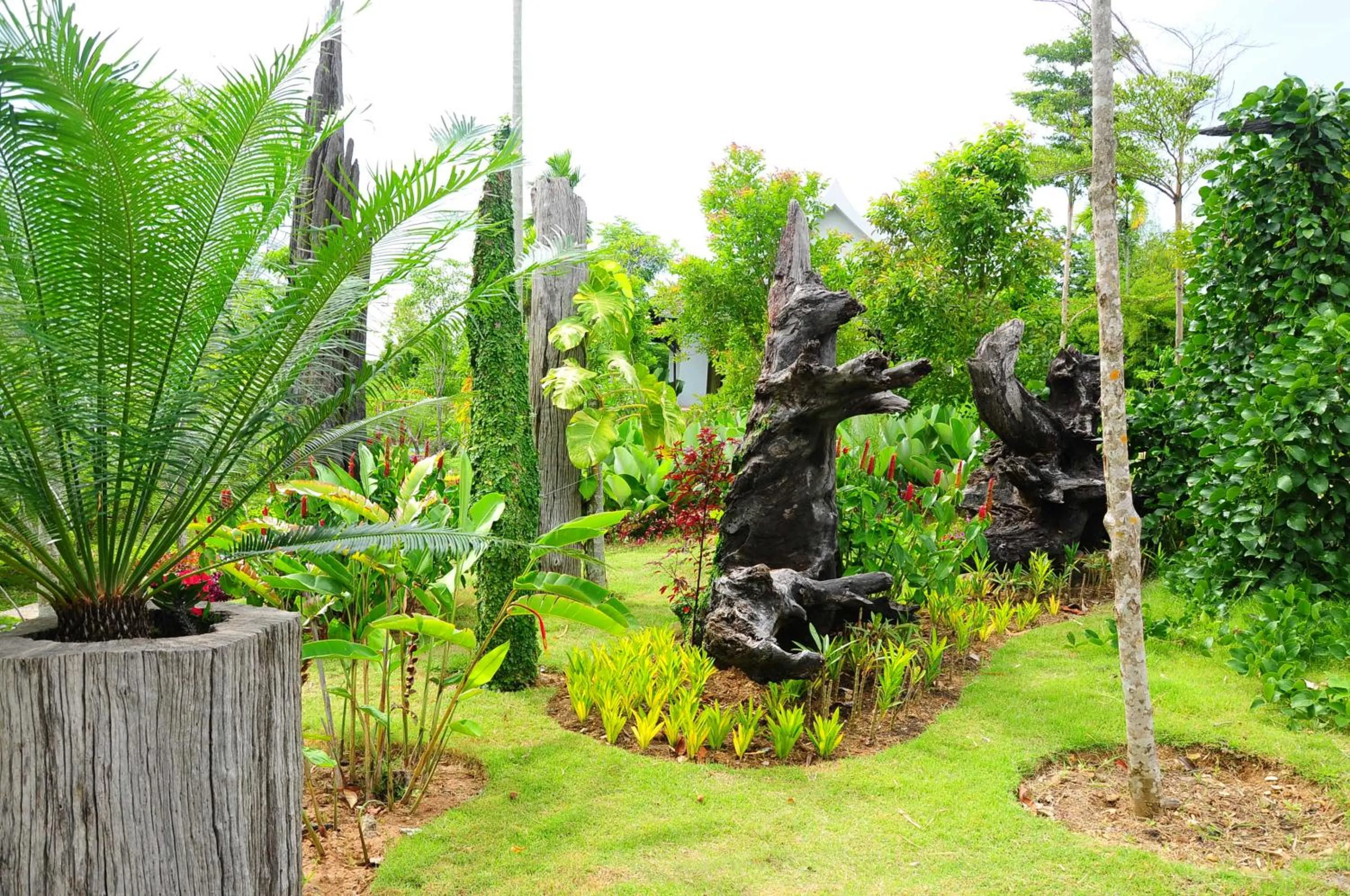 Property building in Phumimalee Nature View Resort