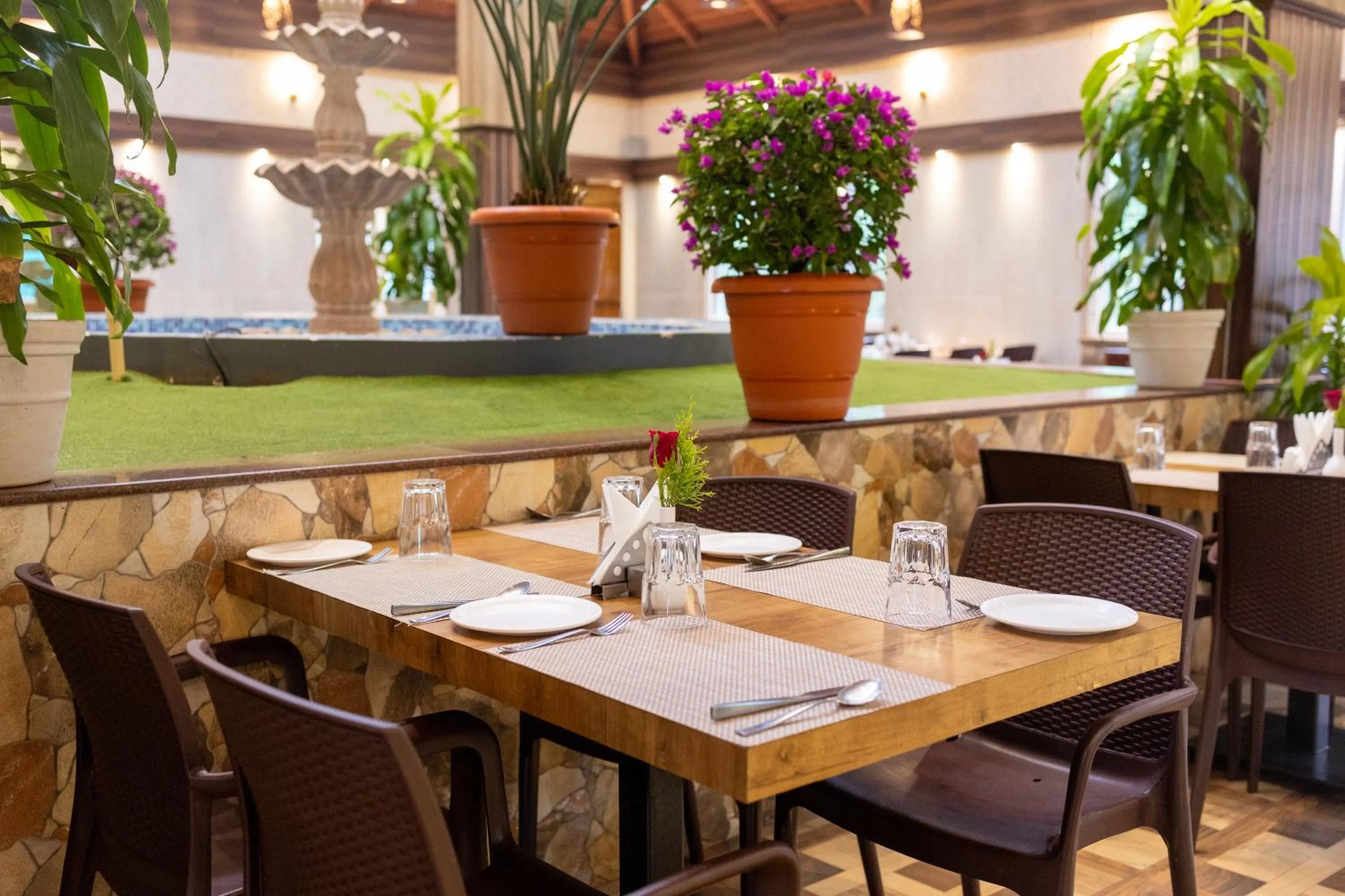 Food and drinks in IBC Honeydew Exotica Resort