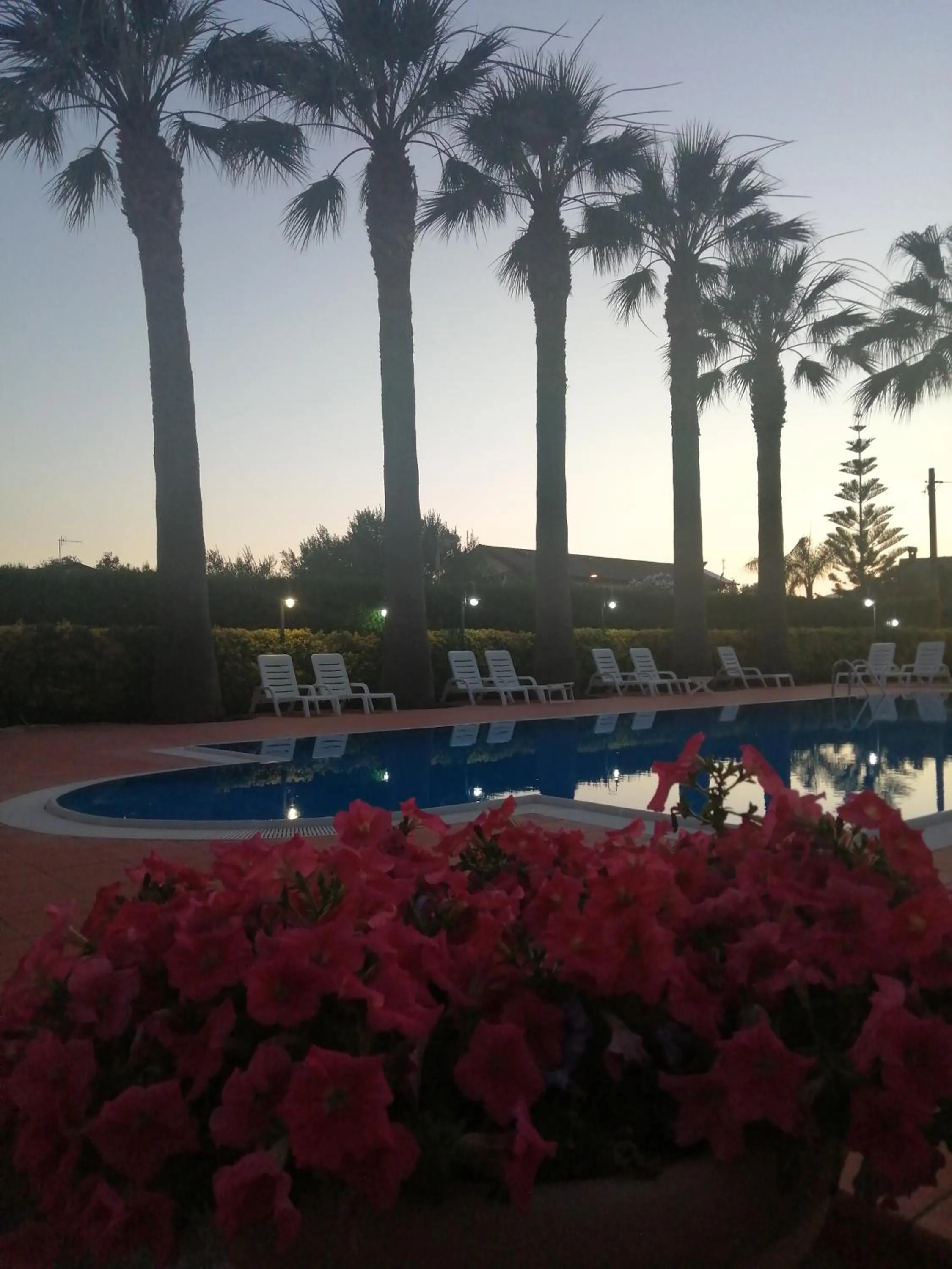 Pool view in Villa Laura Residence Hotel Apartments & Studios