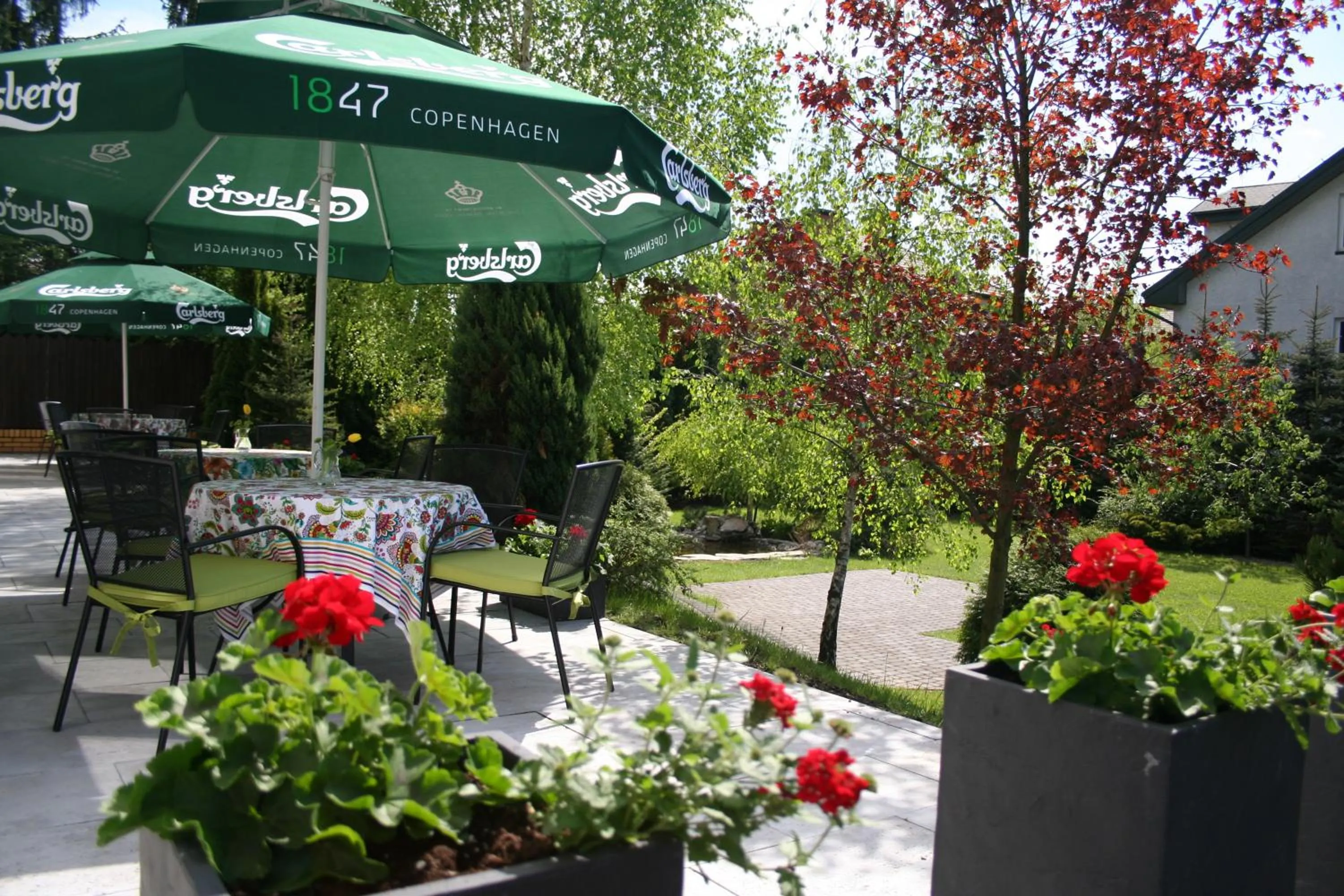 Balcony/Terrace in Hotel Focus