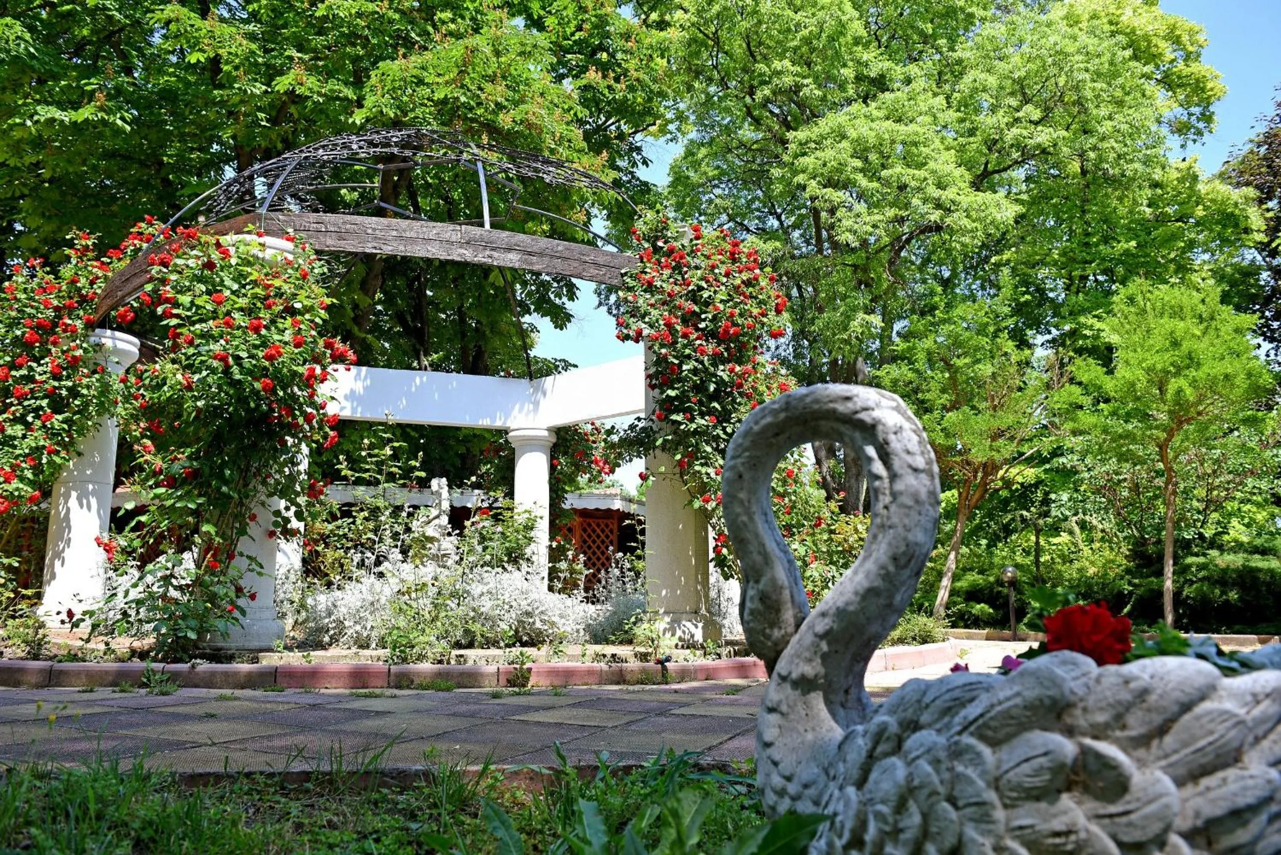 Garden in Hotel Estreya Palace