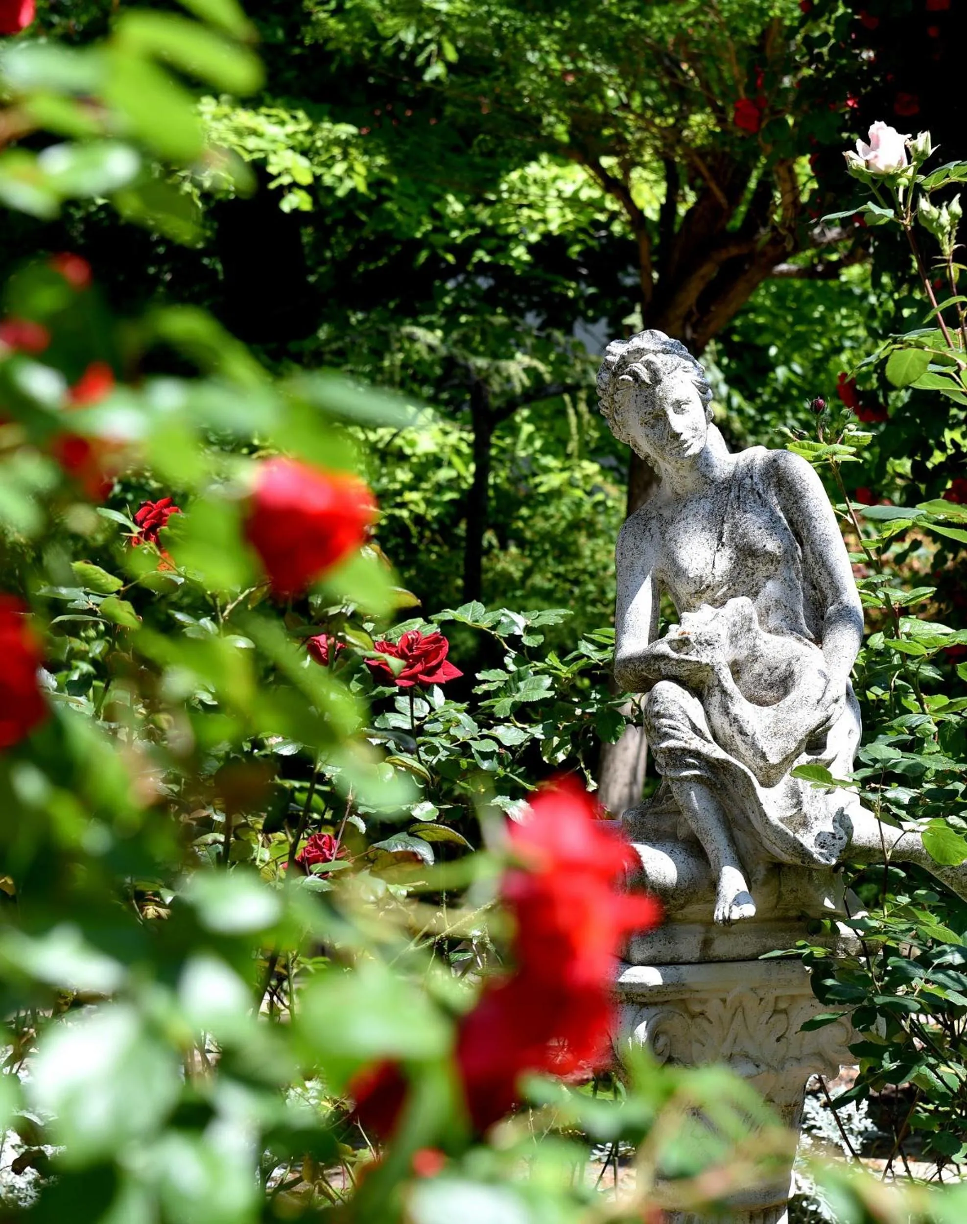Garden in Hotel Estreya Palace