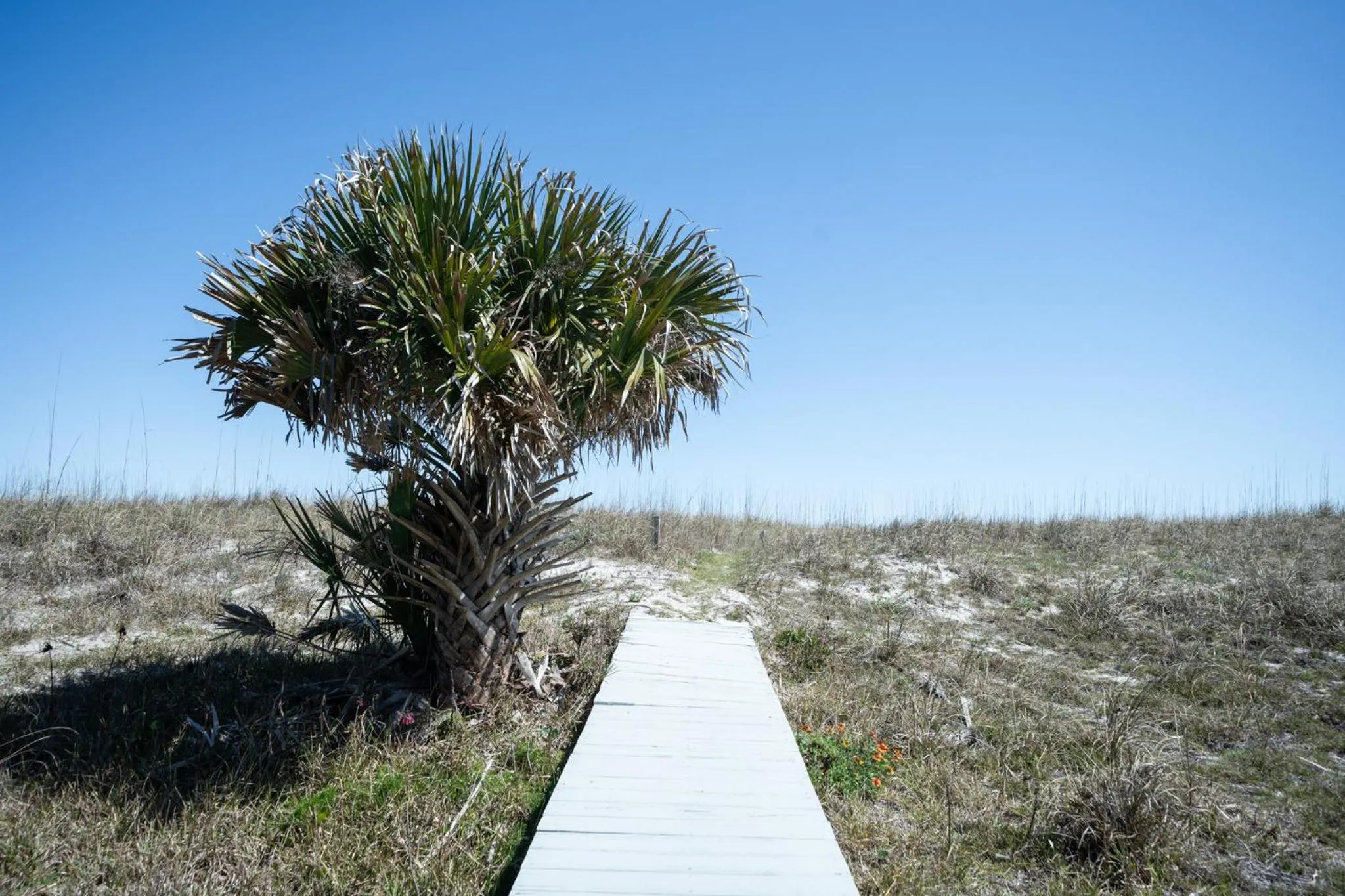 Elizabeth Pointe Lodge