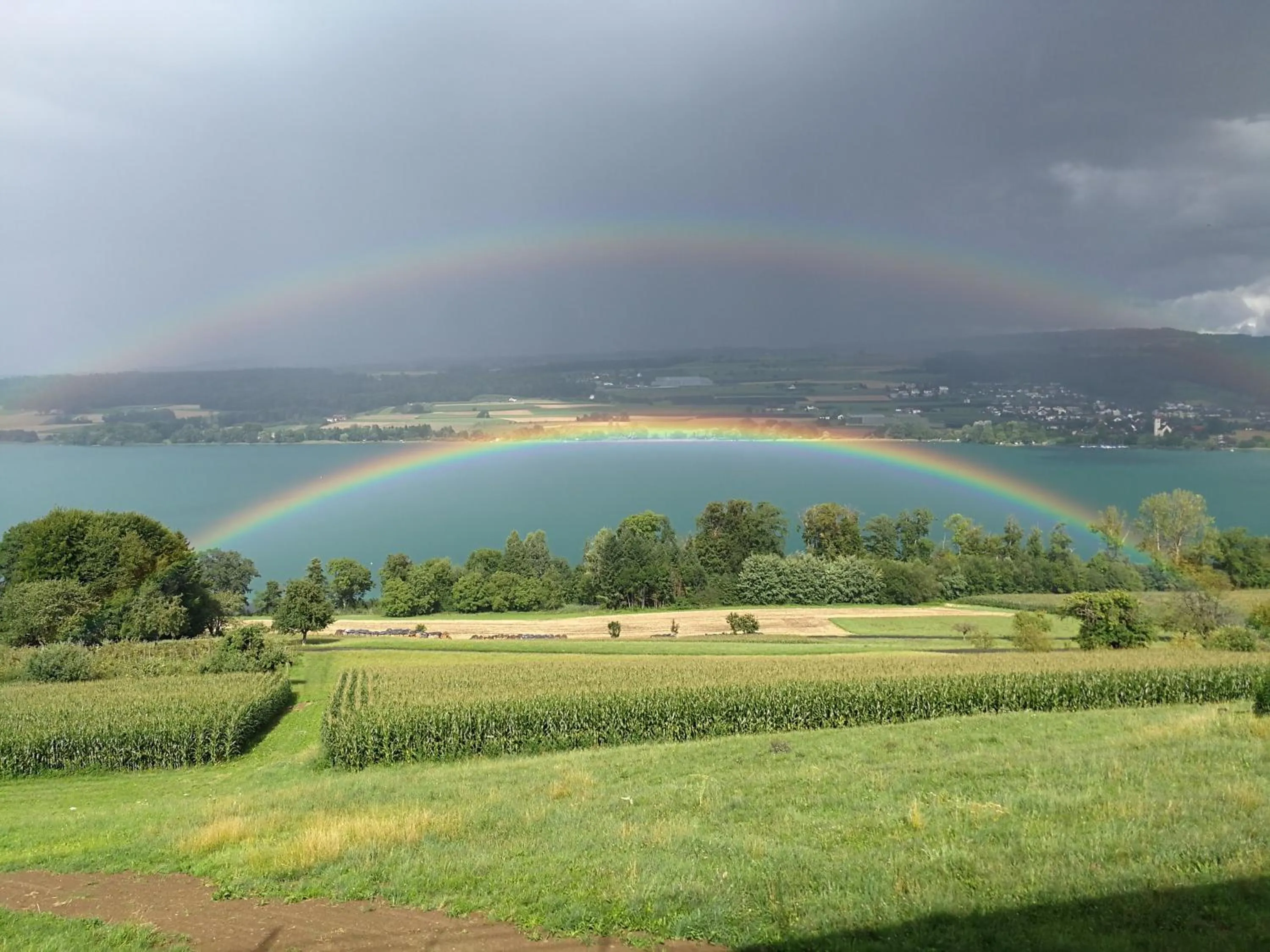 Lake View Apartments Beinwil am See (30 km to Lucerne)