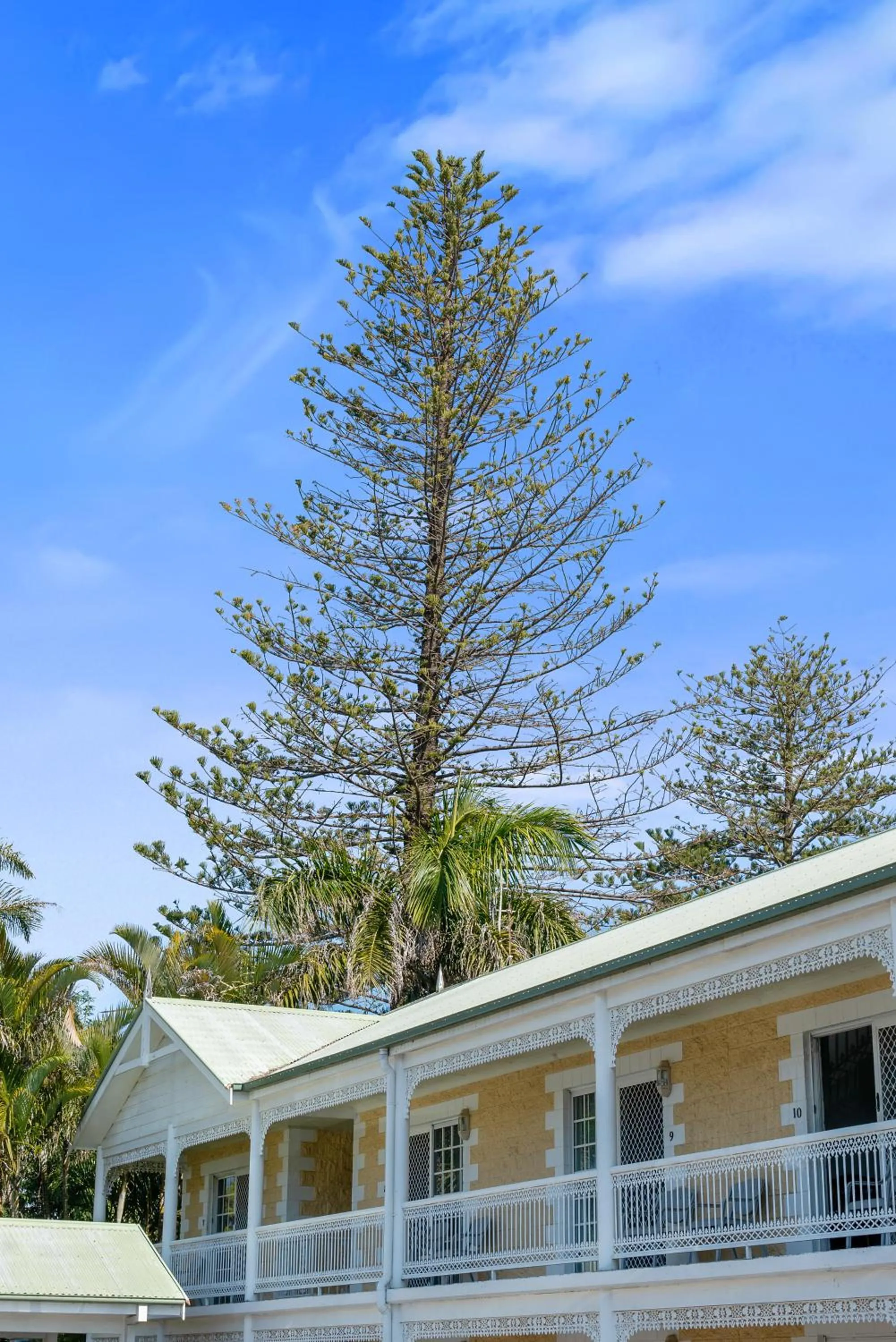 Property building in Wollongbar Motel