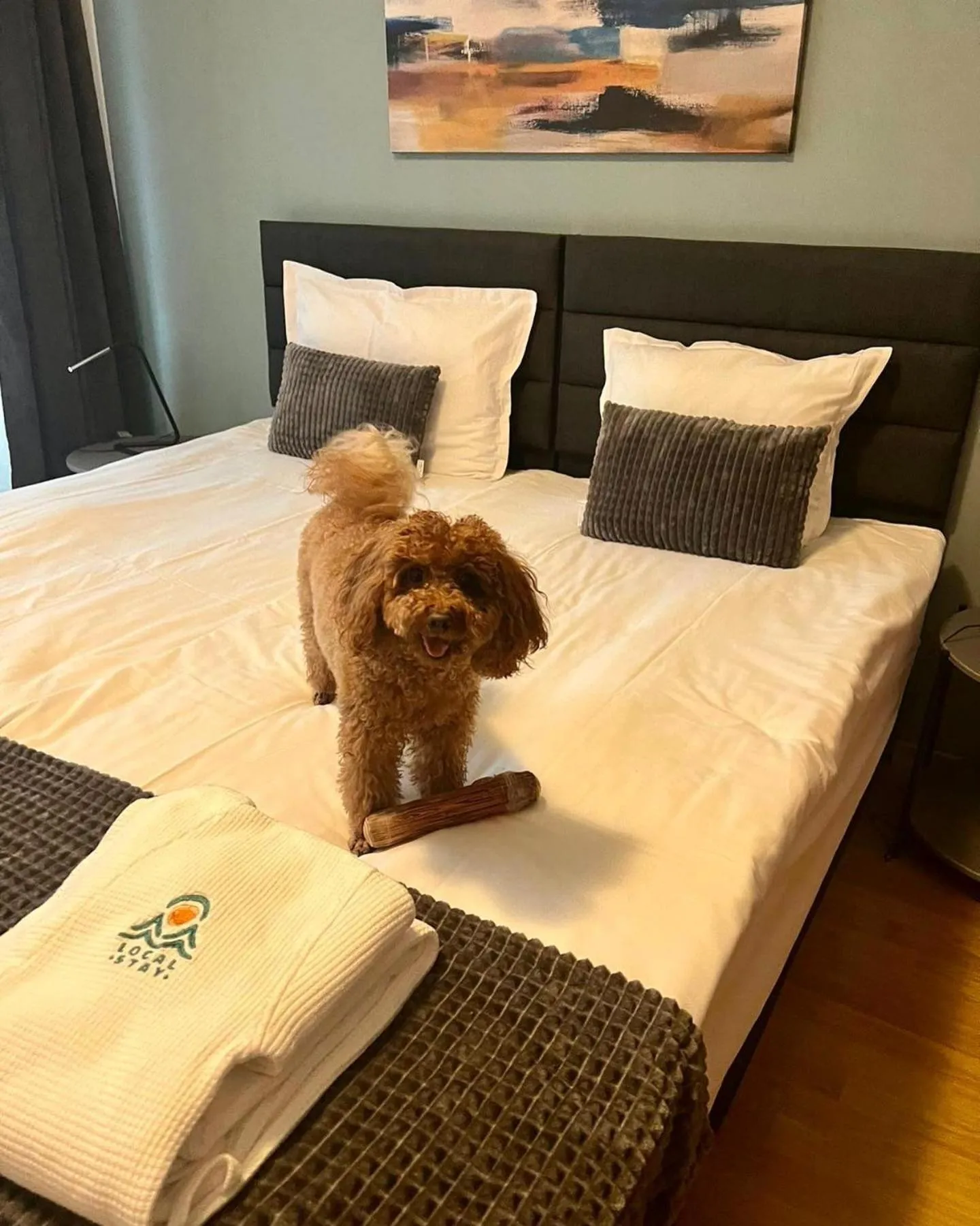 Bed in Local Stay Hotel, BW Signature Collection