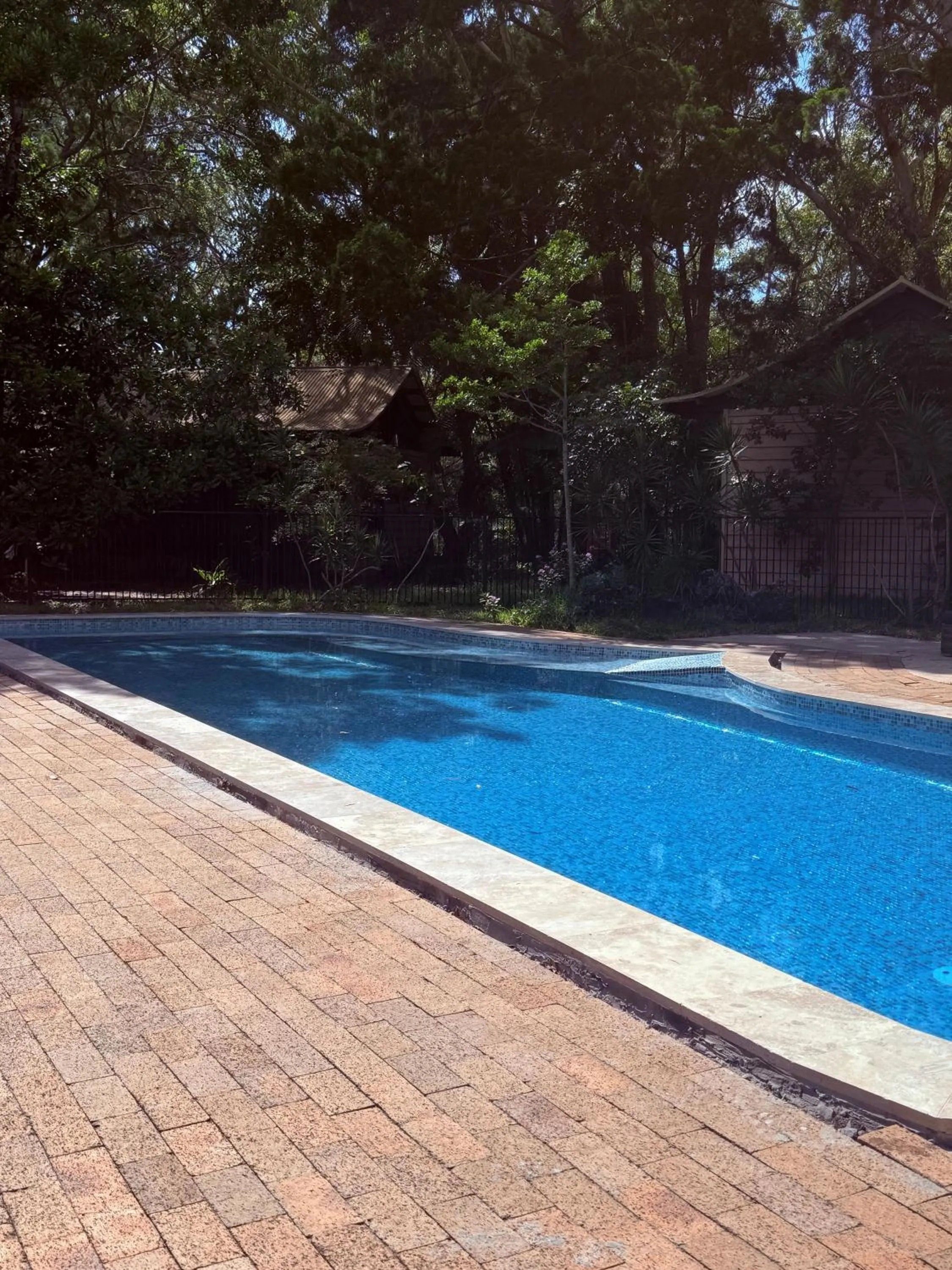 Swimming pool in Byron Bay Rainforest Resort