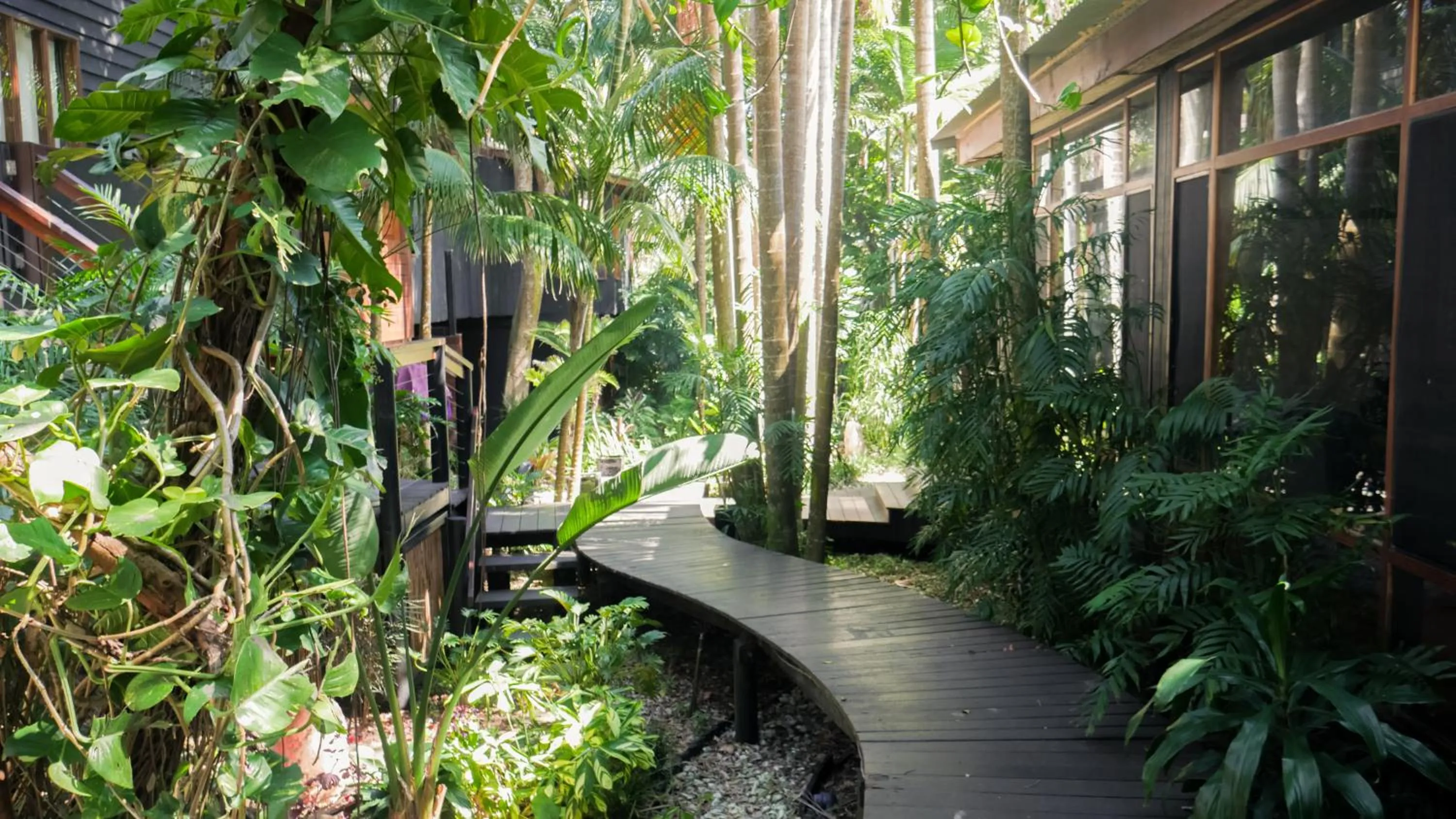 Day in Shambhala @ Byron