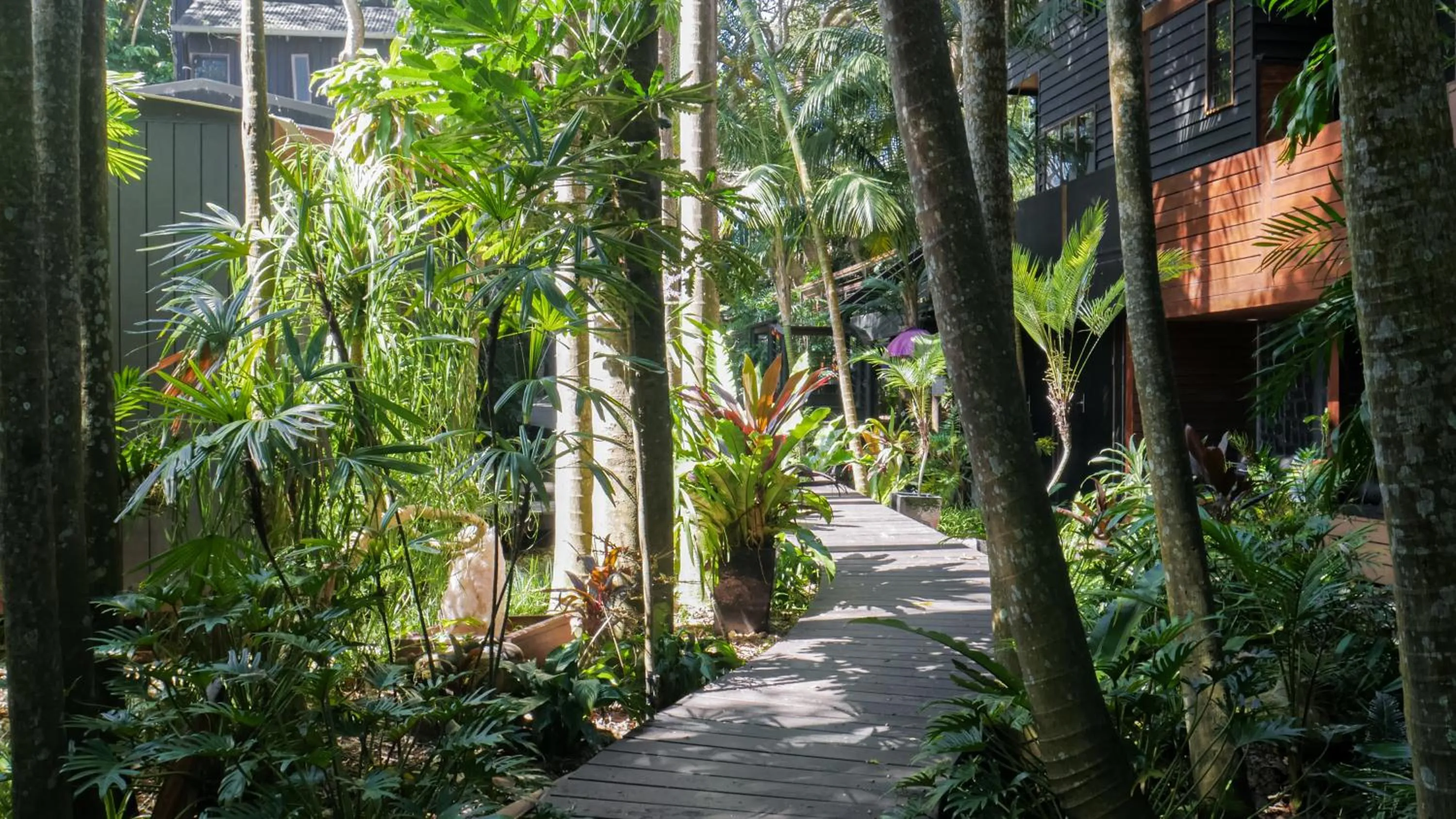 Day in Shambhala @ Byron