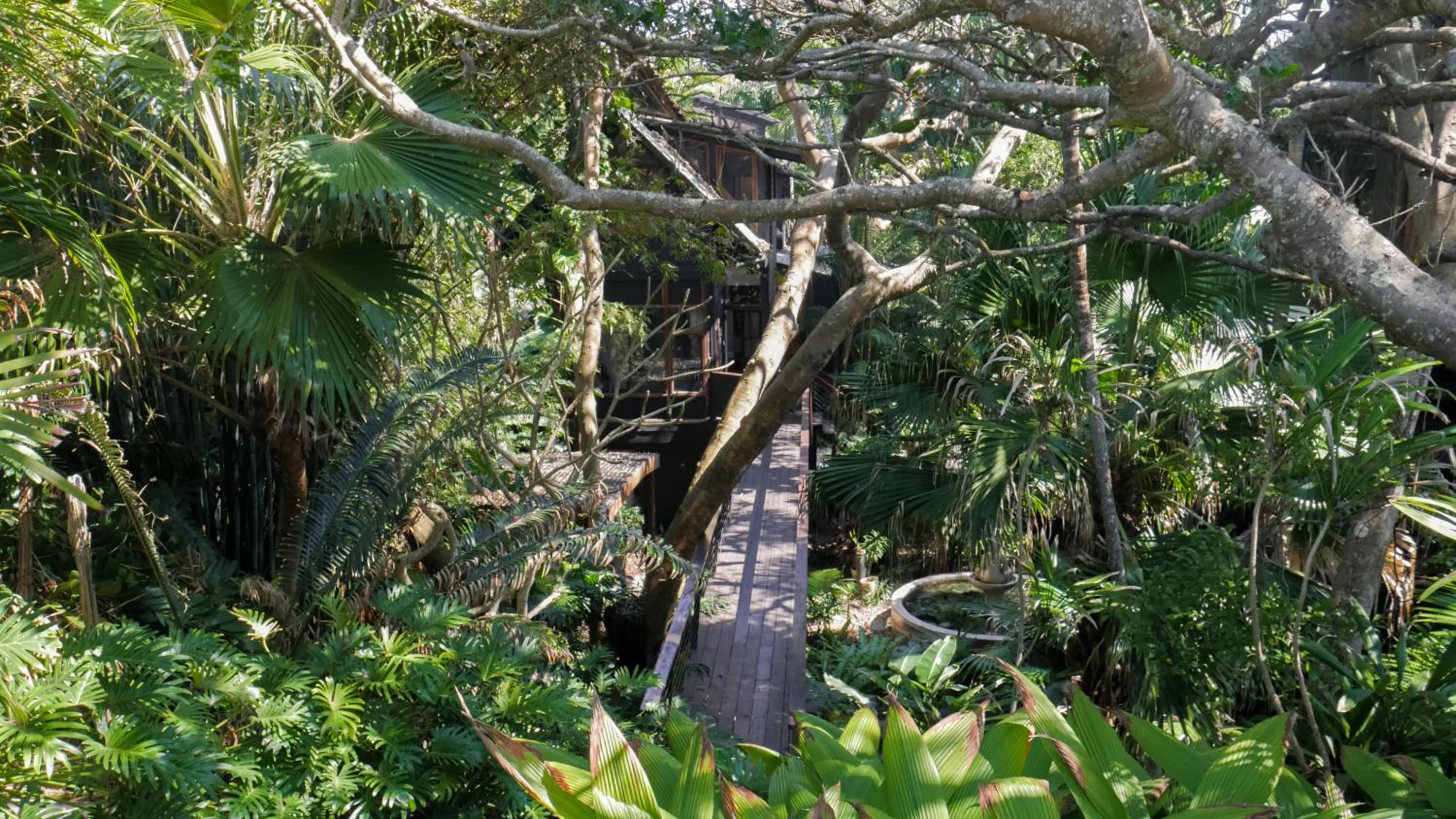 Garden in Shambhala @ Byron