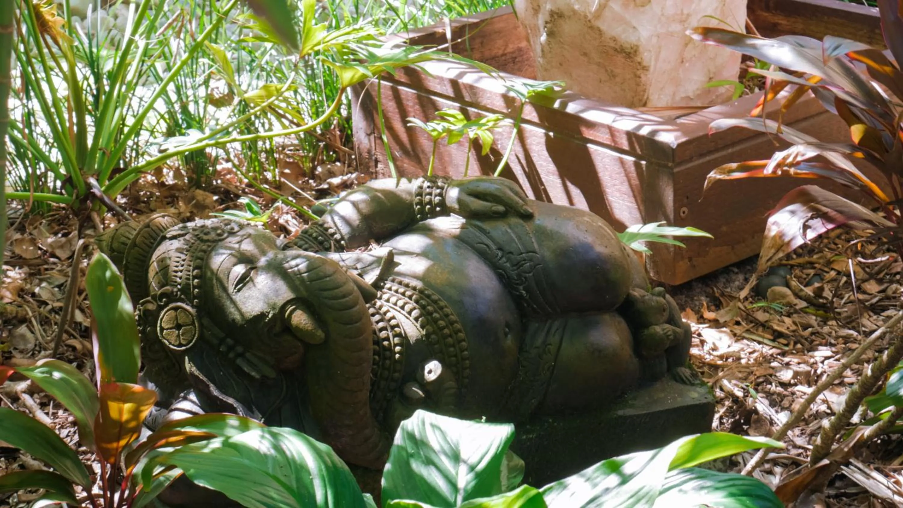 Day in Shambhala @ Byron