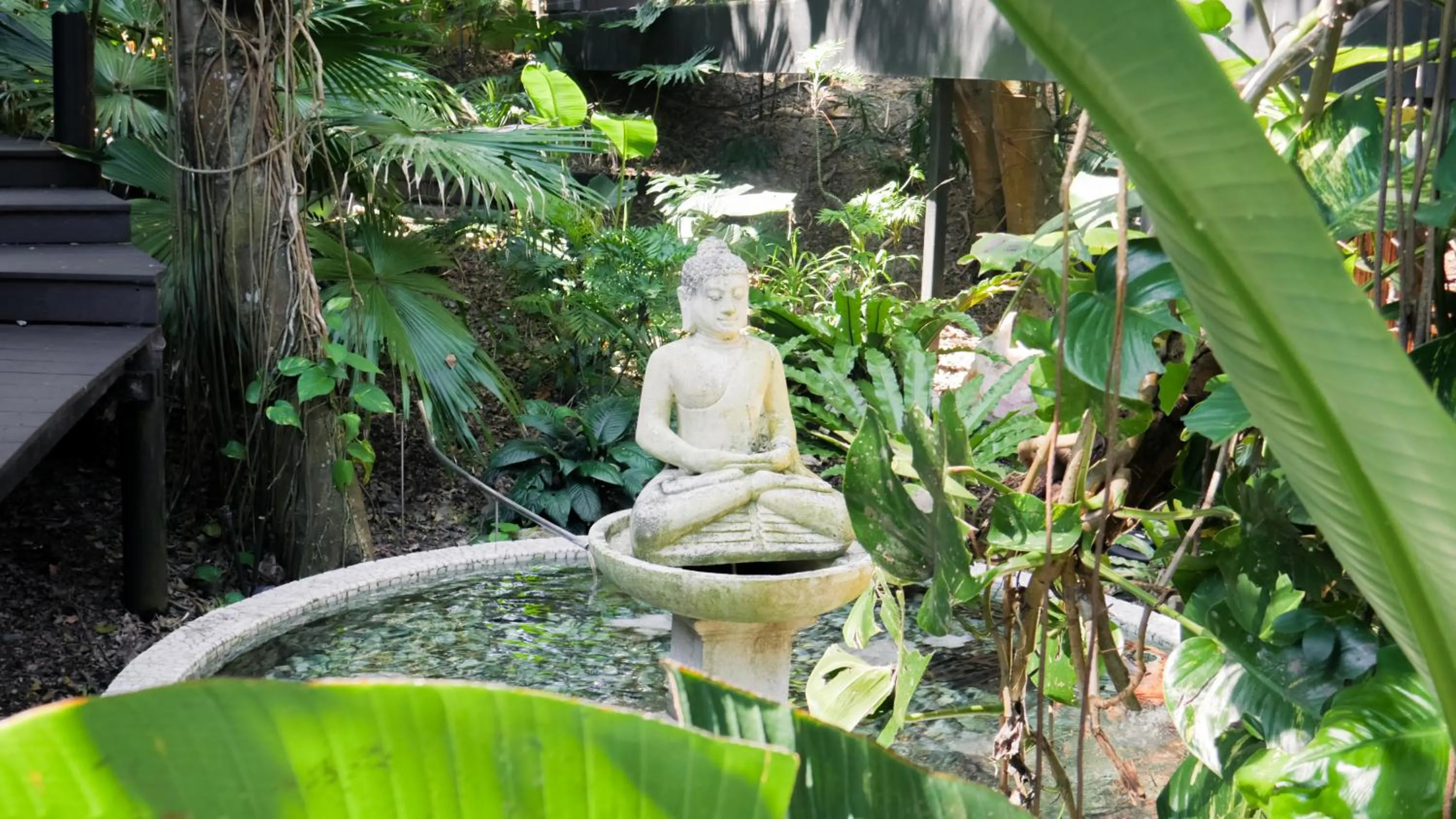 Garden in Shambhala @ Byron