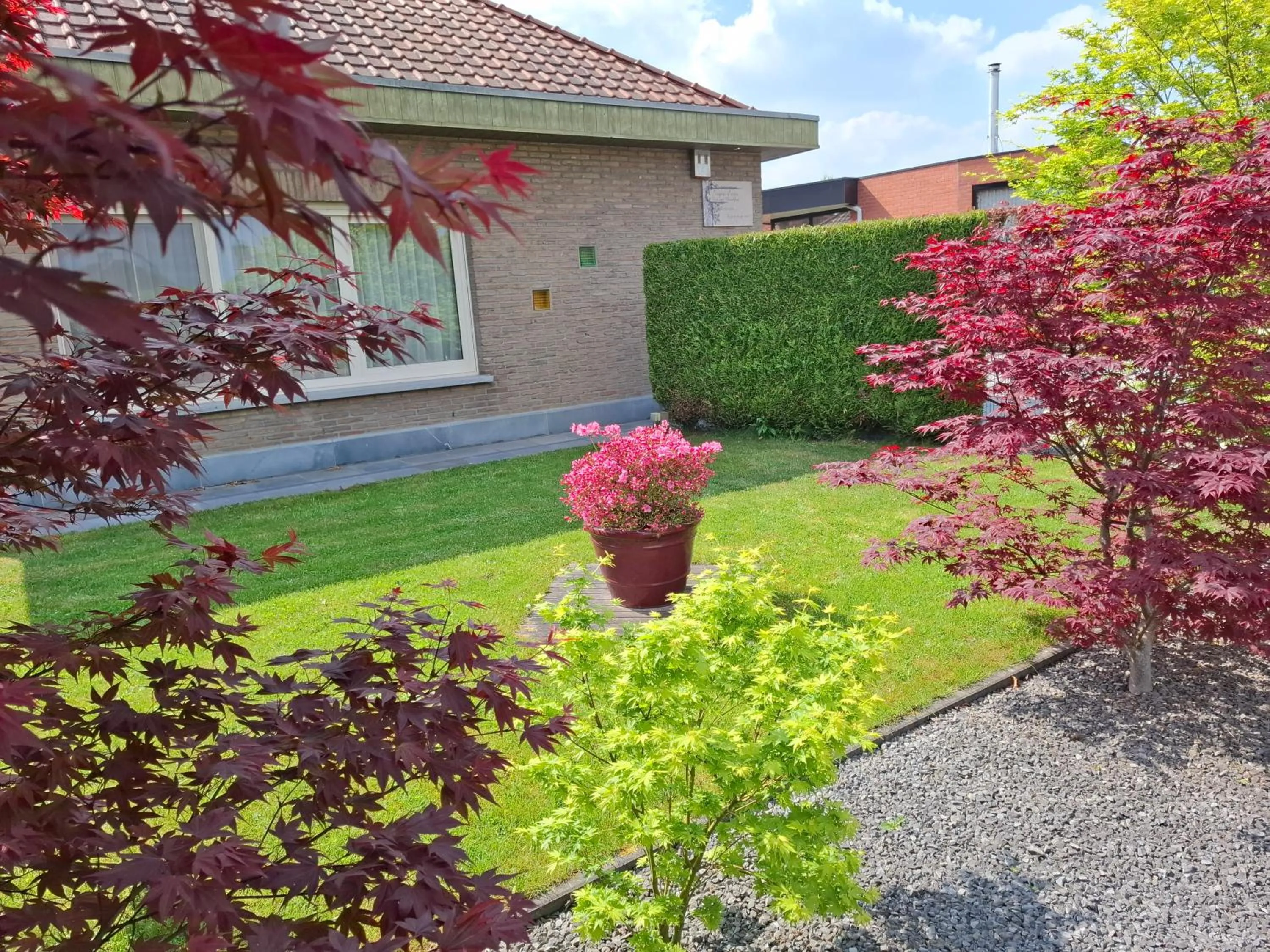 Garden in B&B Sogni d'oro