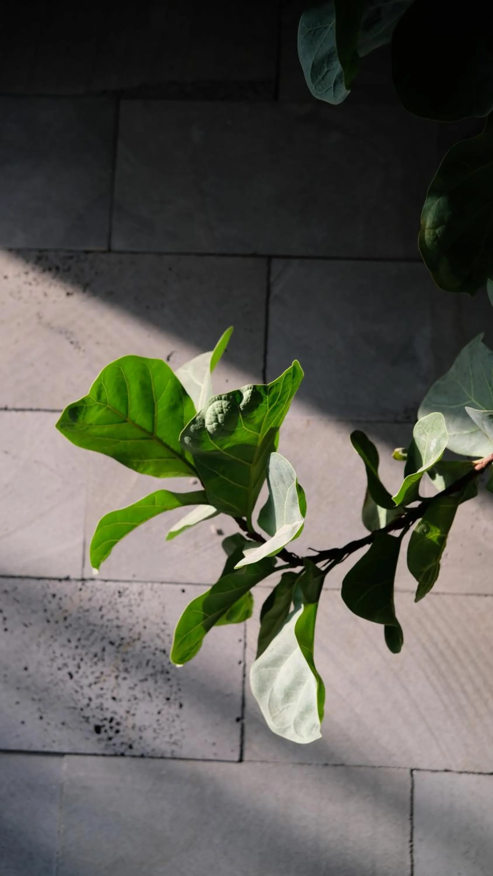 Lobby or reception in Marilyn Boutique Hotel Nha Trang