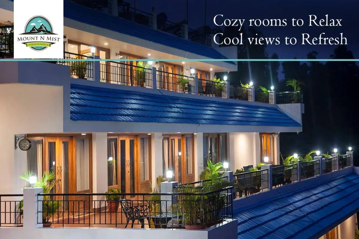 Night in Mount n Mist