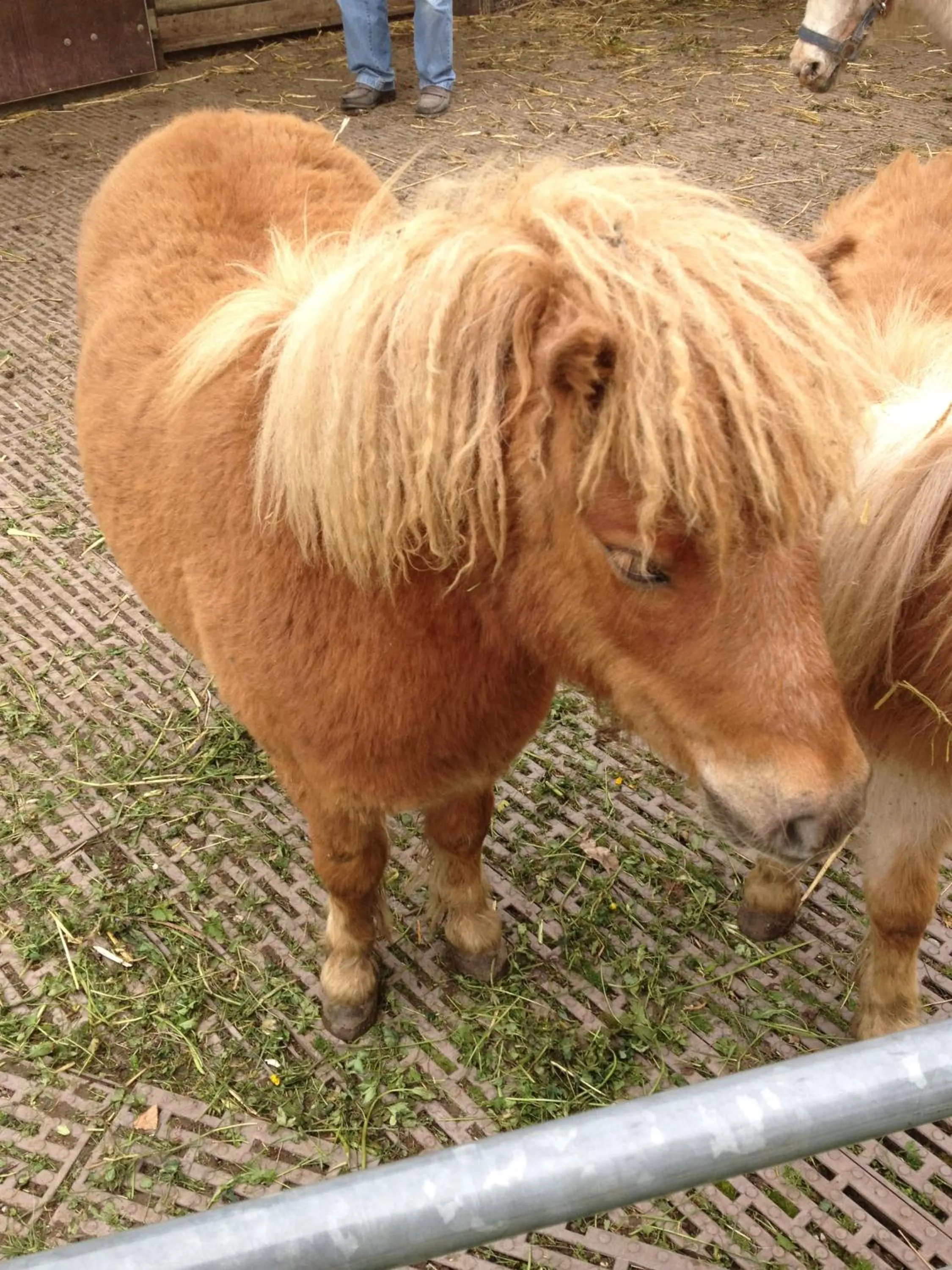 Children play ground in Hotel Gibswilerstube