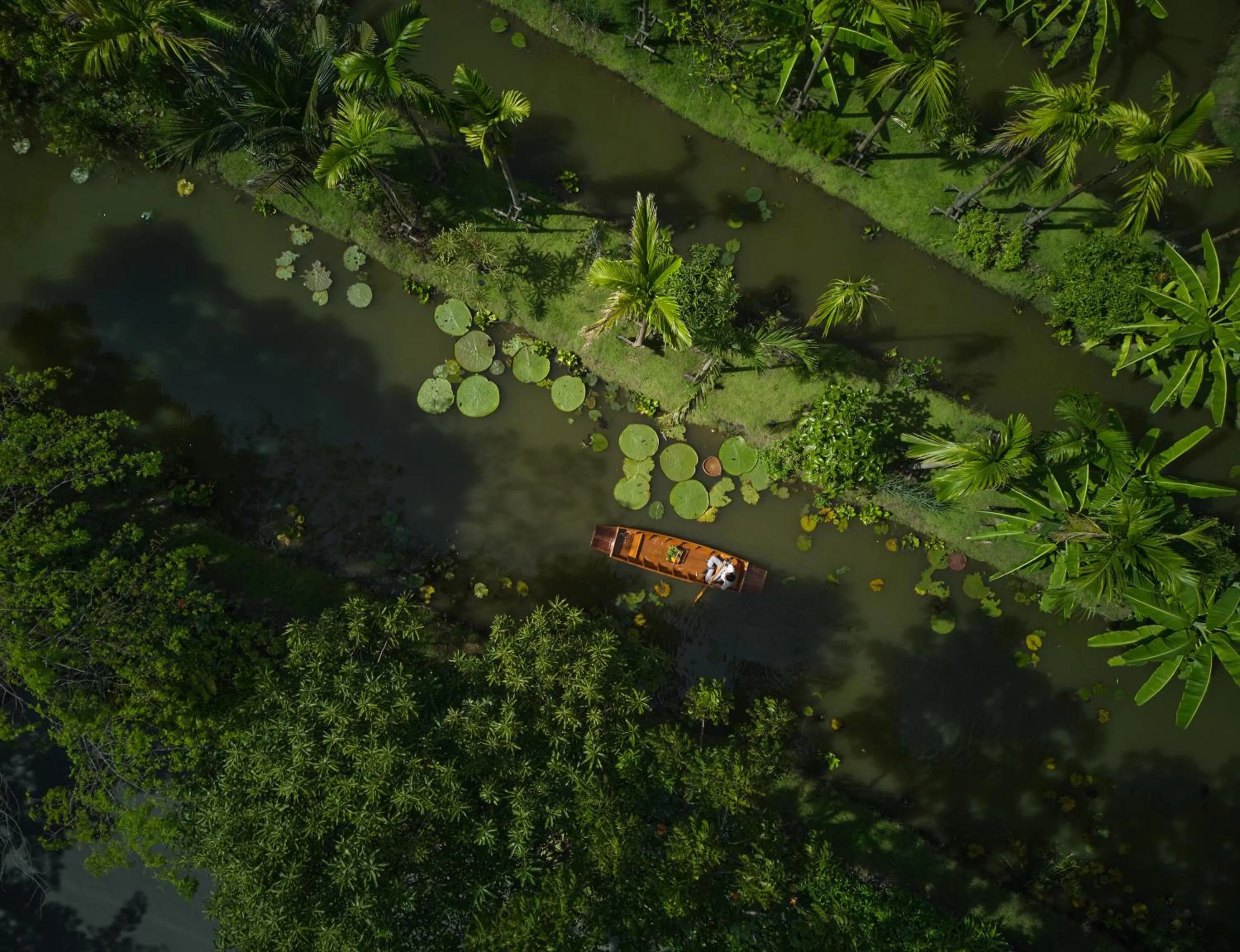 Garden in Kalanan Riverside Resort