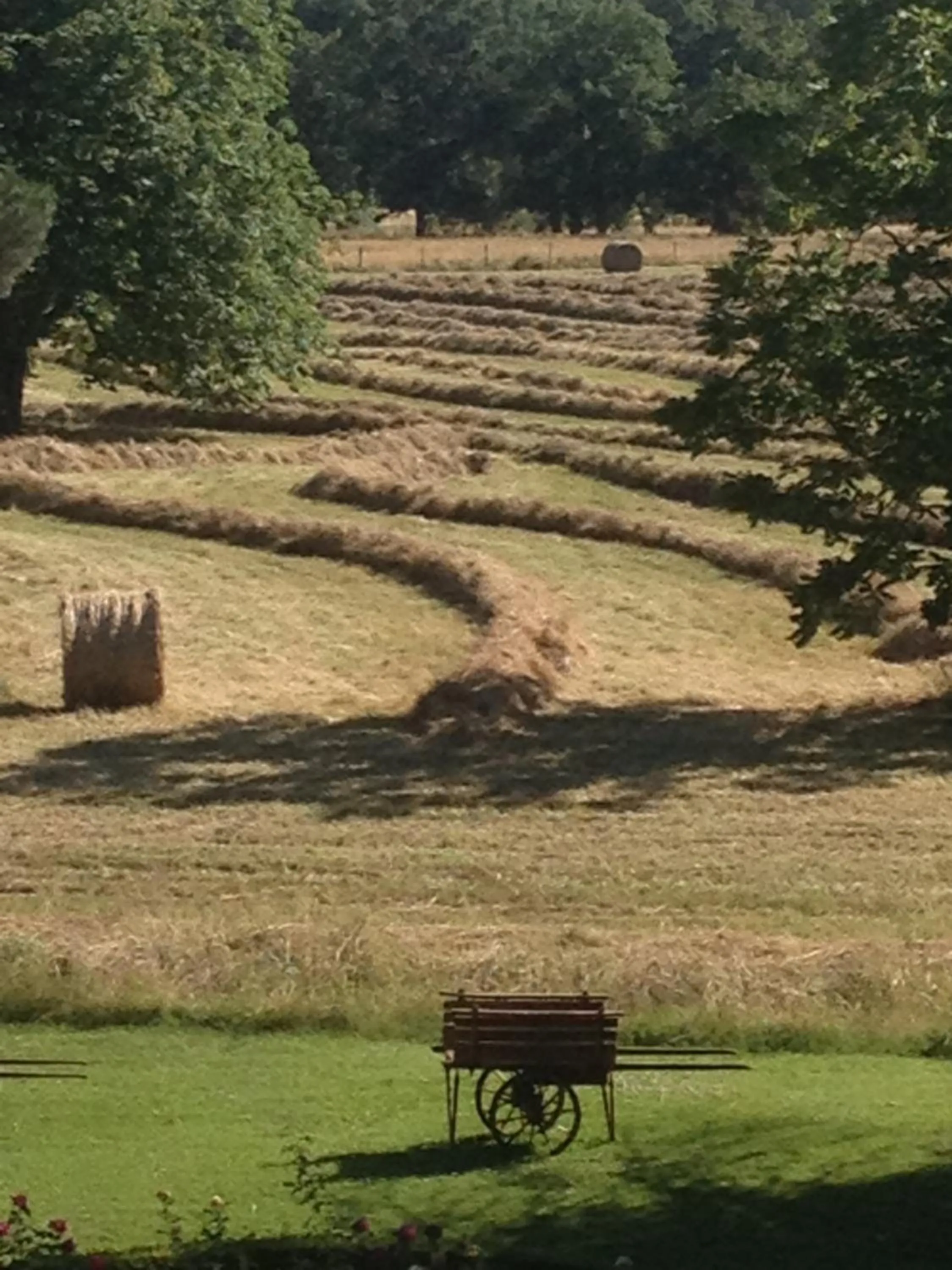 Garden view in Domaine du Buc, Le Château