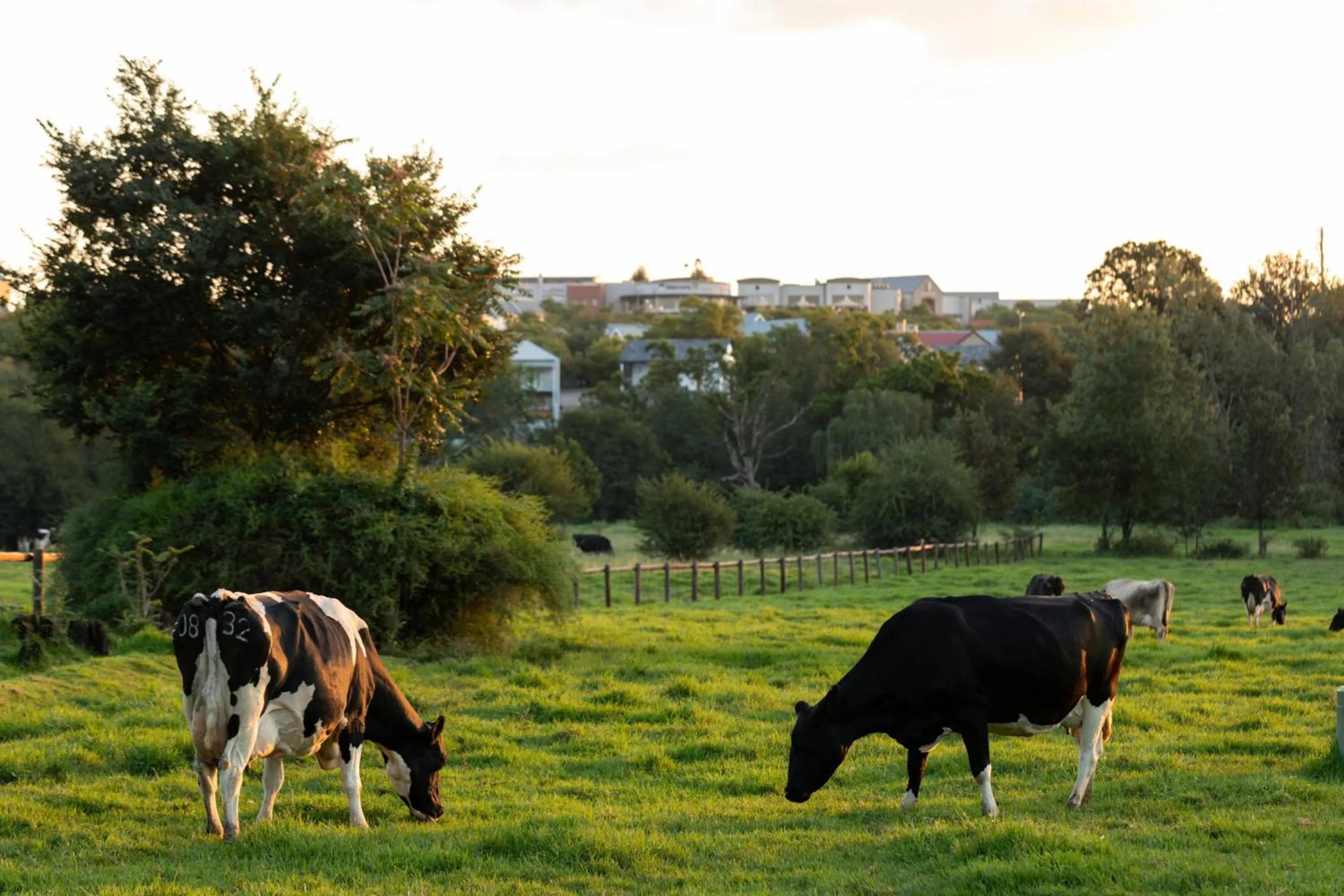 Other in Irene Country Hotel, Autograph Collection