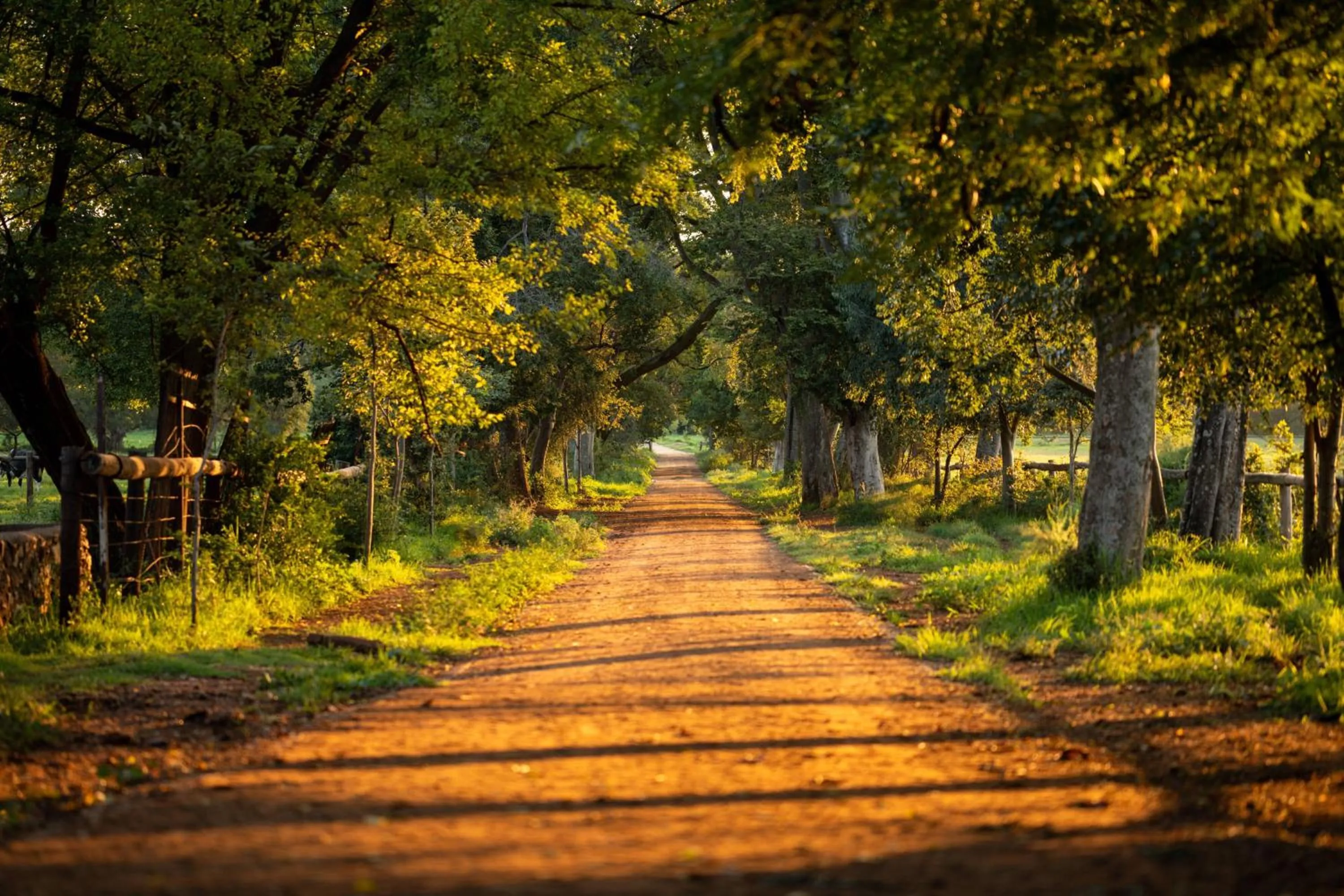 Other in Irene Country Hotel, Autograph Collection