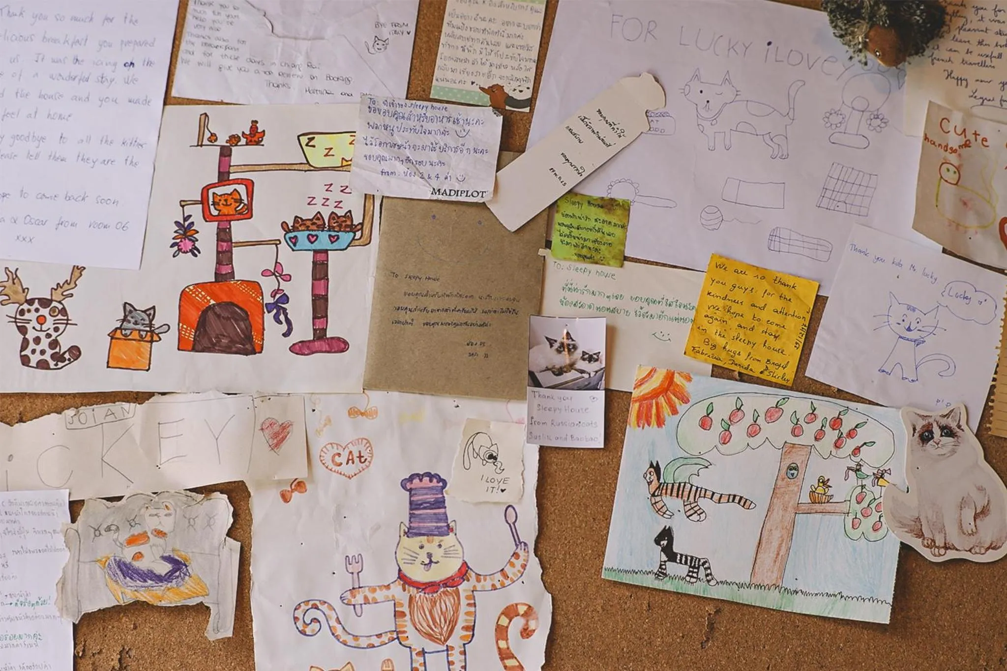 Lobby or reception in Sleepy House Chiang Rai