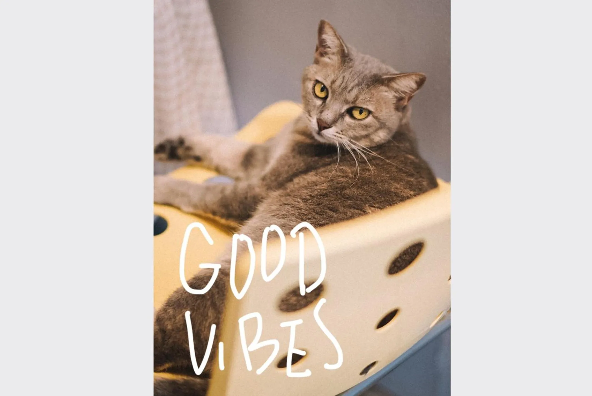 Staff in Sleepy House Chiang Rai