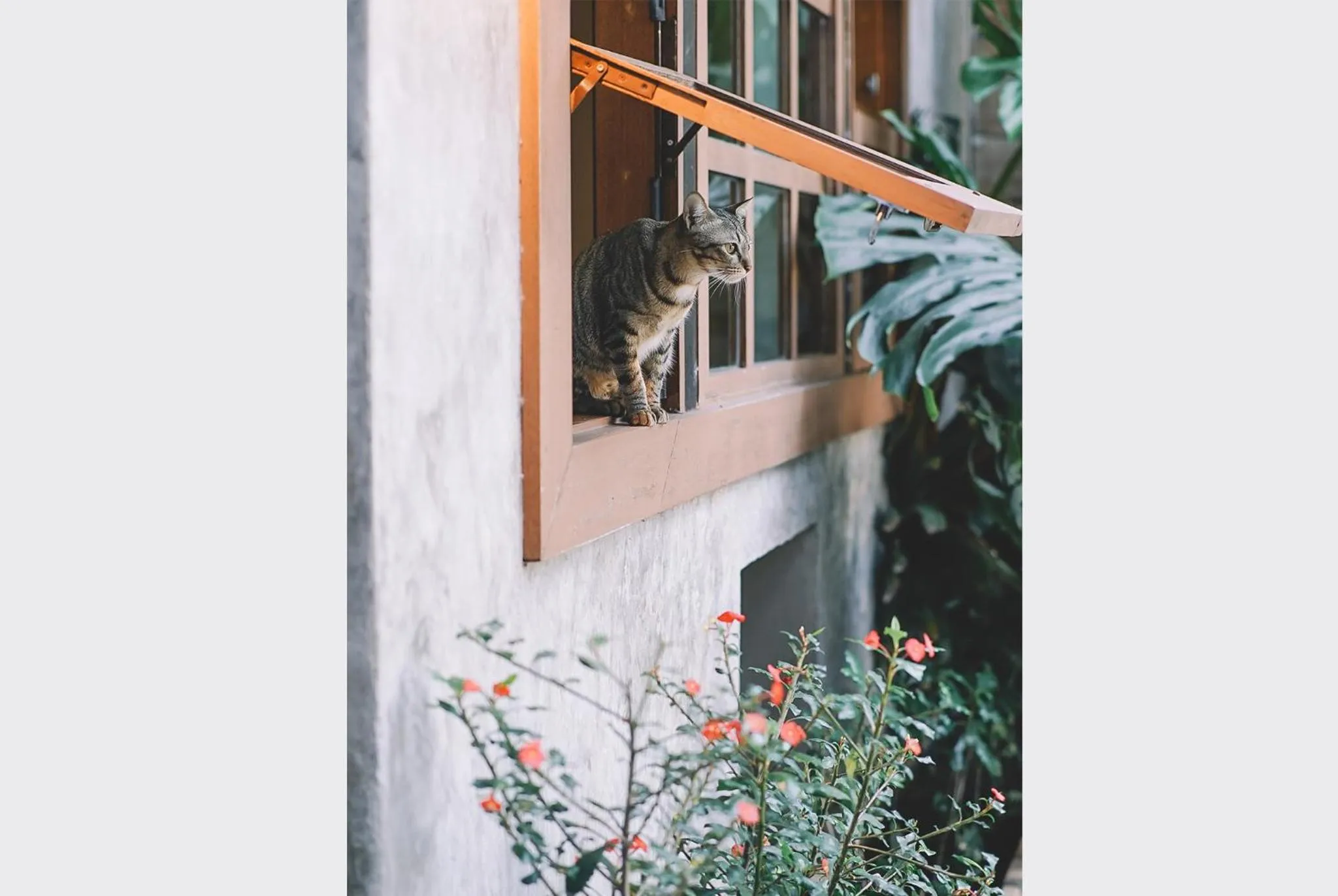 Property building in Sleepy House Chiang Rai