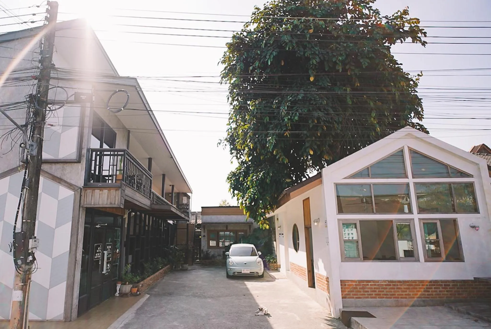 Property building in Sleepy House Chiang Rai