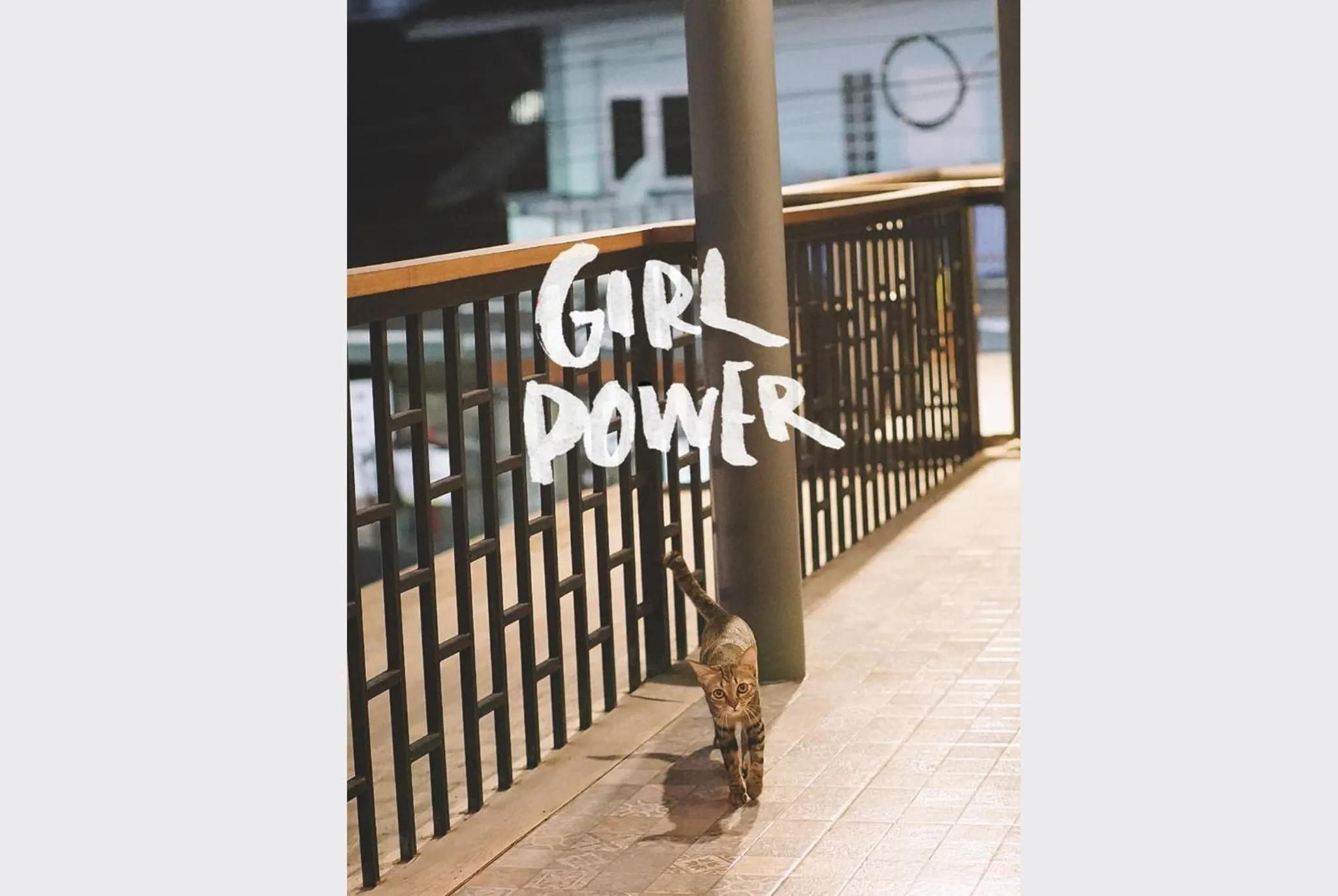 Staff in Sleepy House Chiang Rai