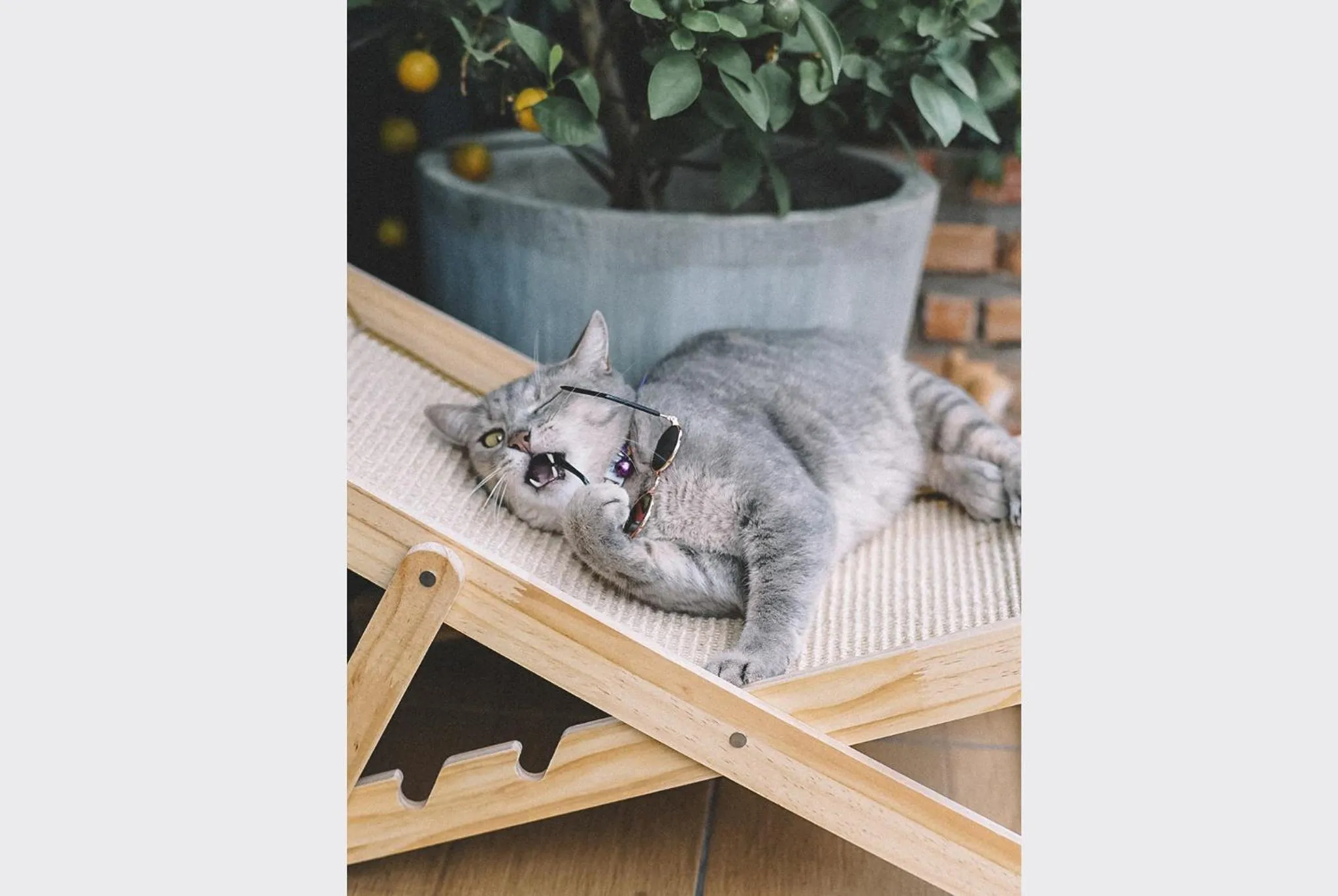 Staff in Sleepy House Chiang Rai