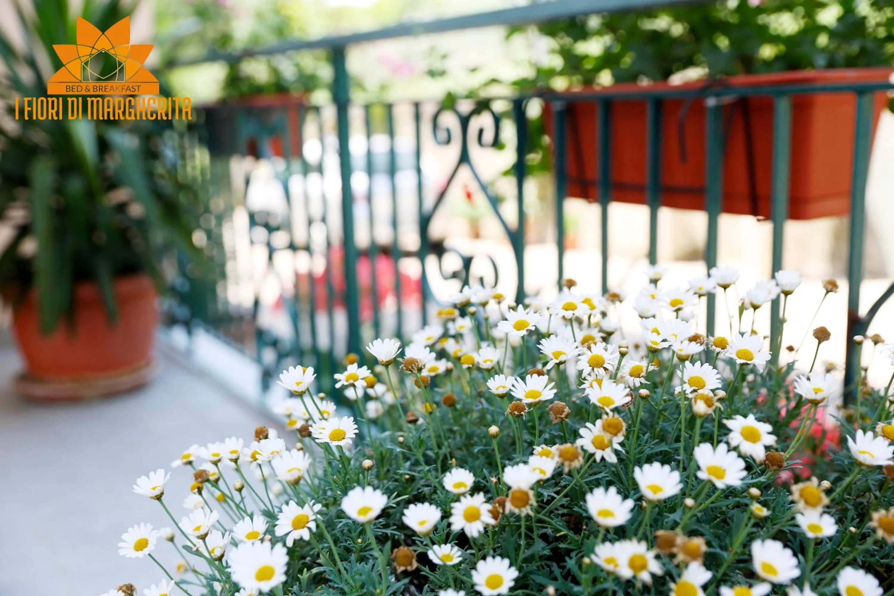 Spring in I Fiori di Margherita Luxury B&B