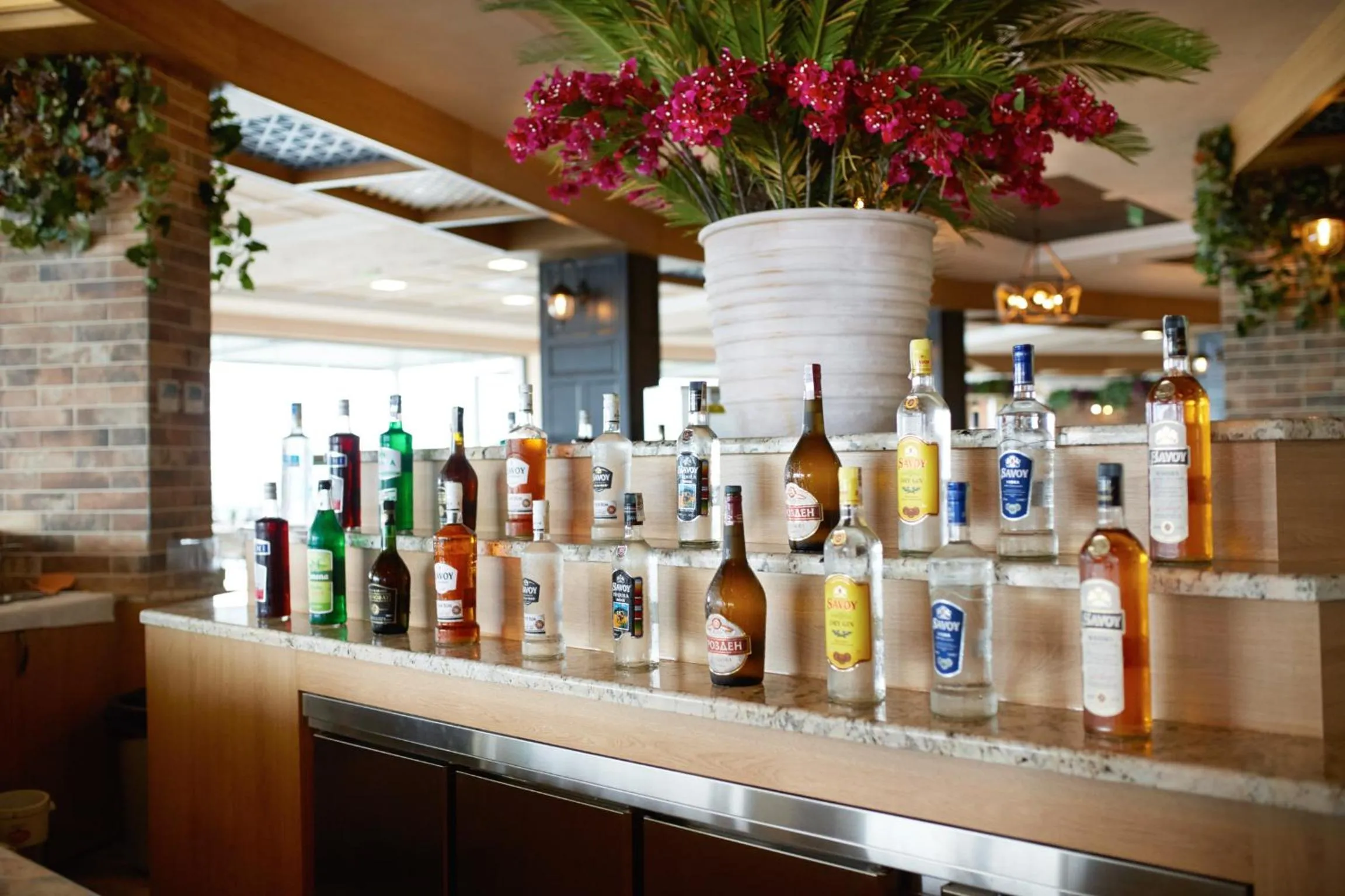 Drinks in Paradise Beach Residence - Ultra All Inclusive