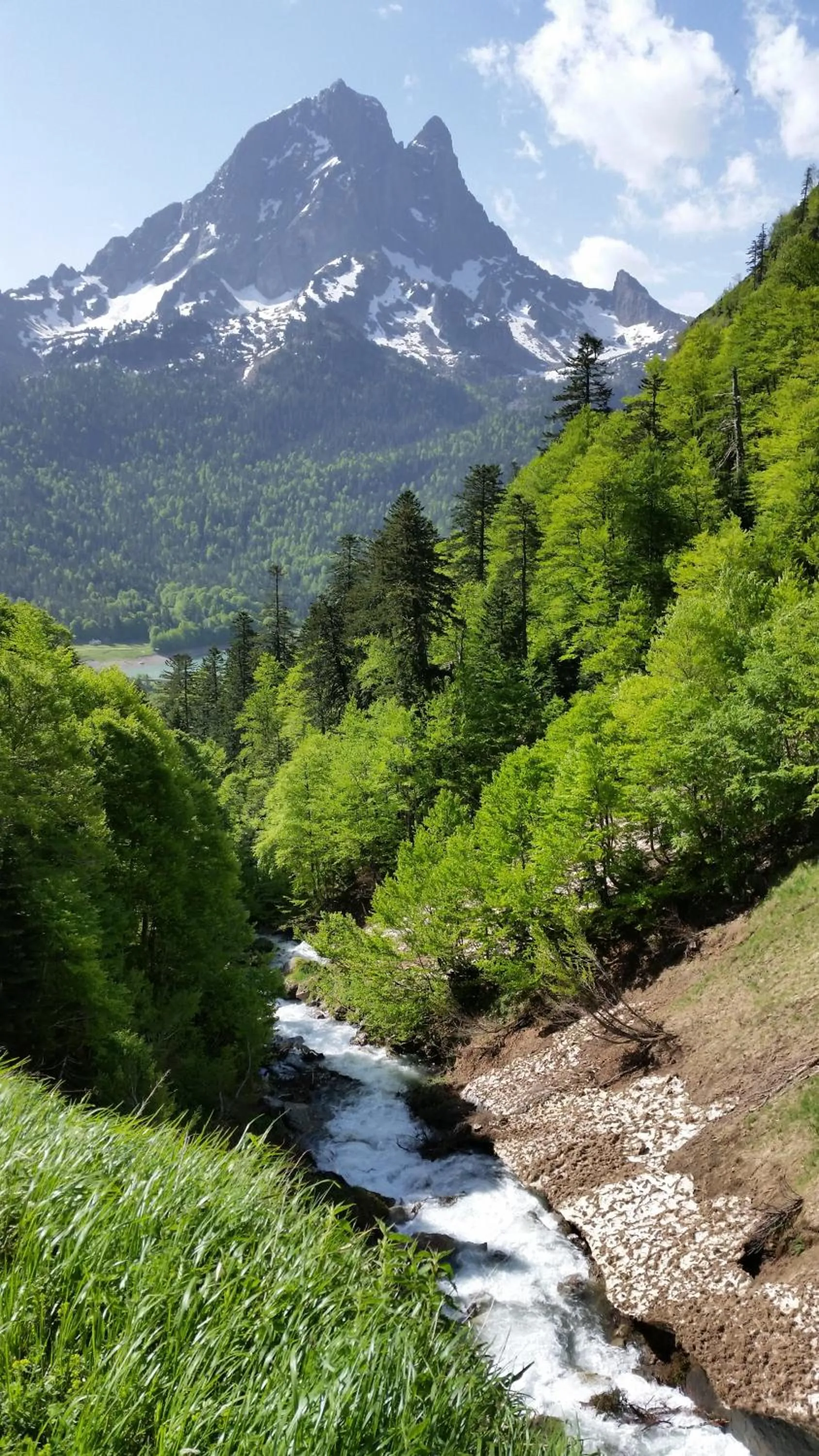 Natural landscape in Logis Hôtel L'Ayguelade