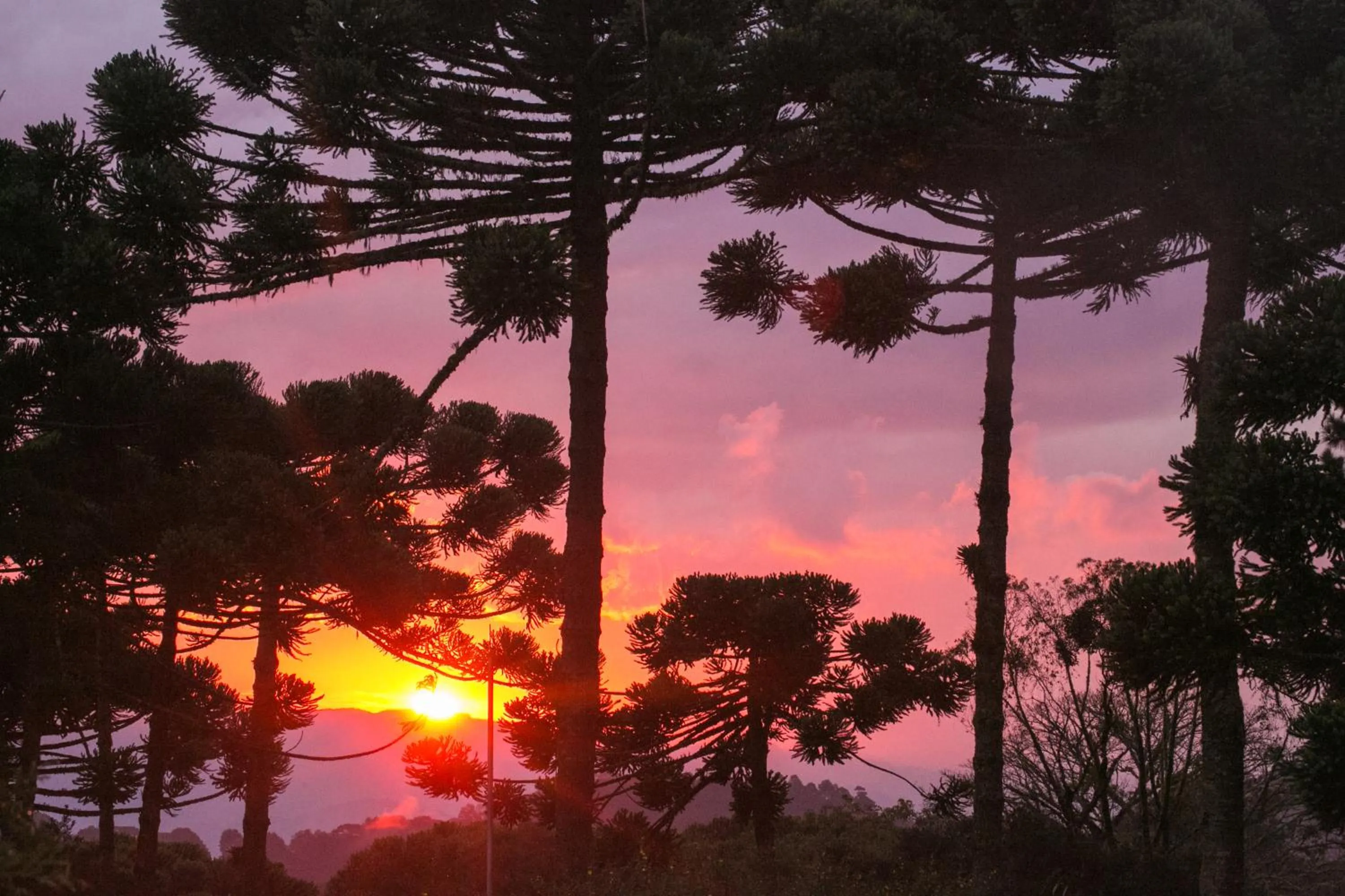 View (from property/room) in Hotel Toriba