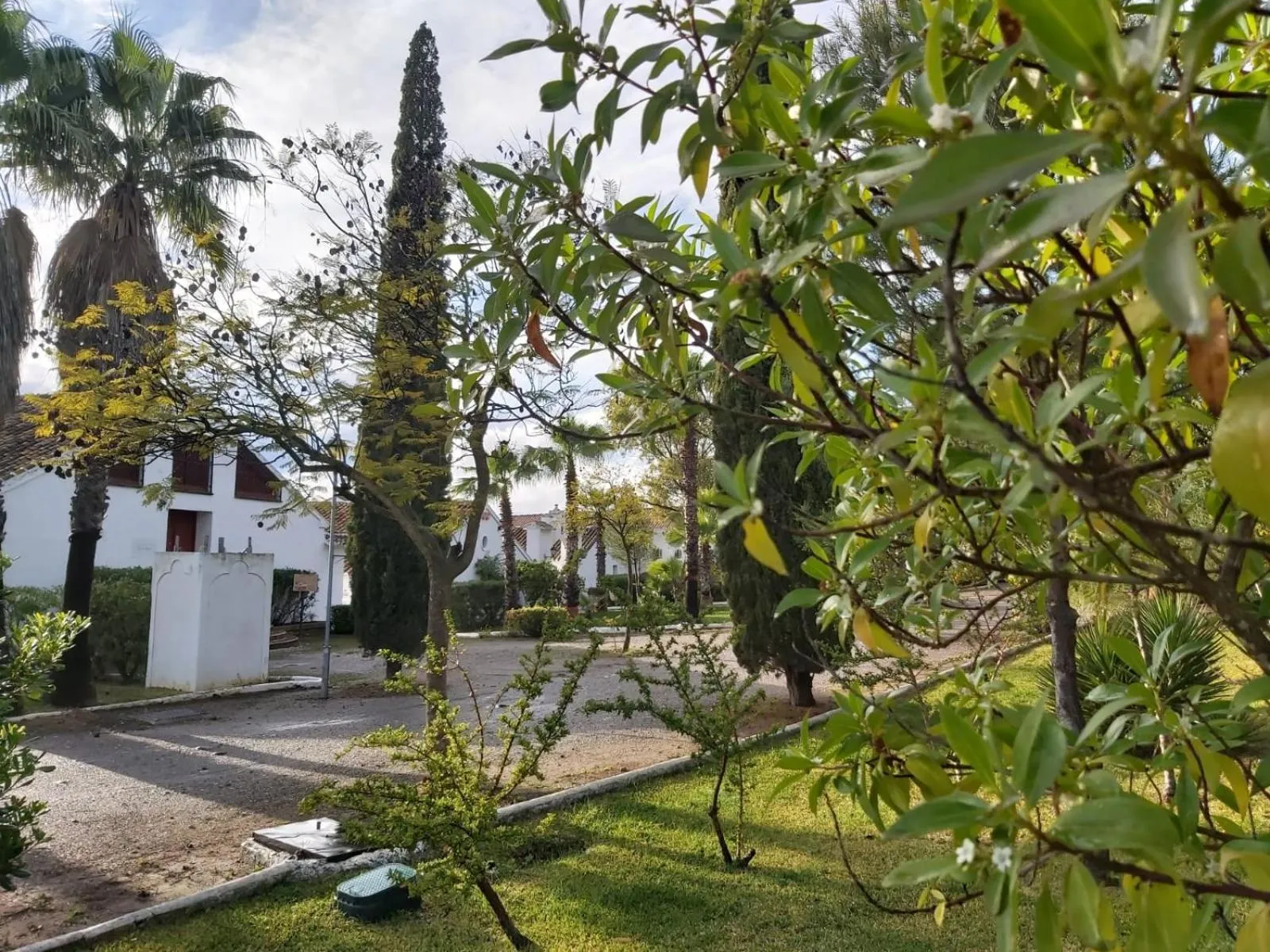 Area and facilities in Hotel Cortijo del Arte - Caminito del Rey