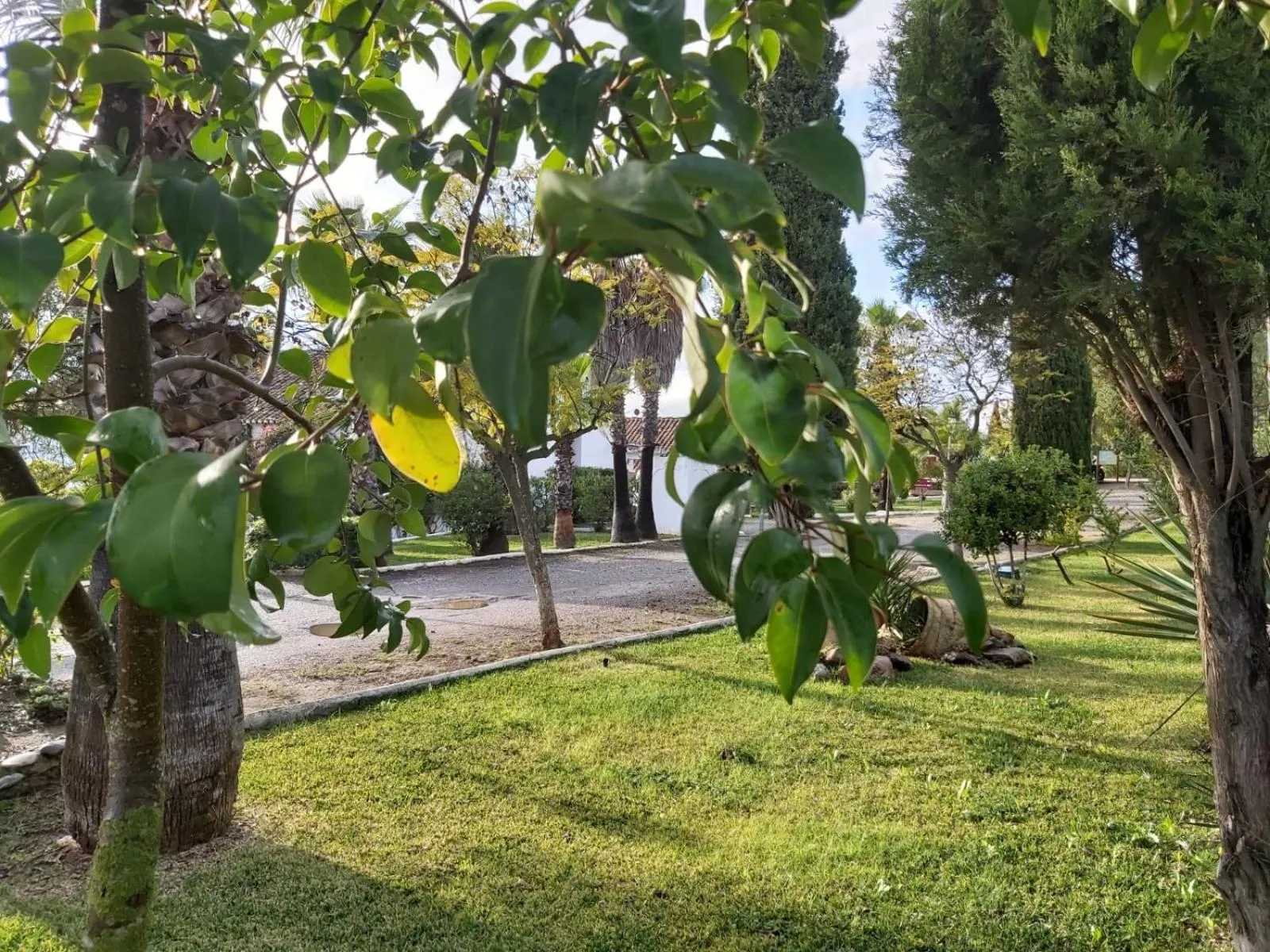 Garden in Hotel Cortijo del Arte - Caminito del Rey