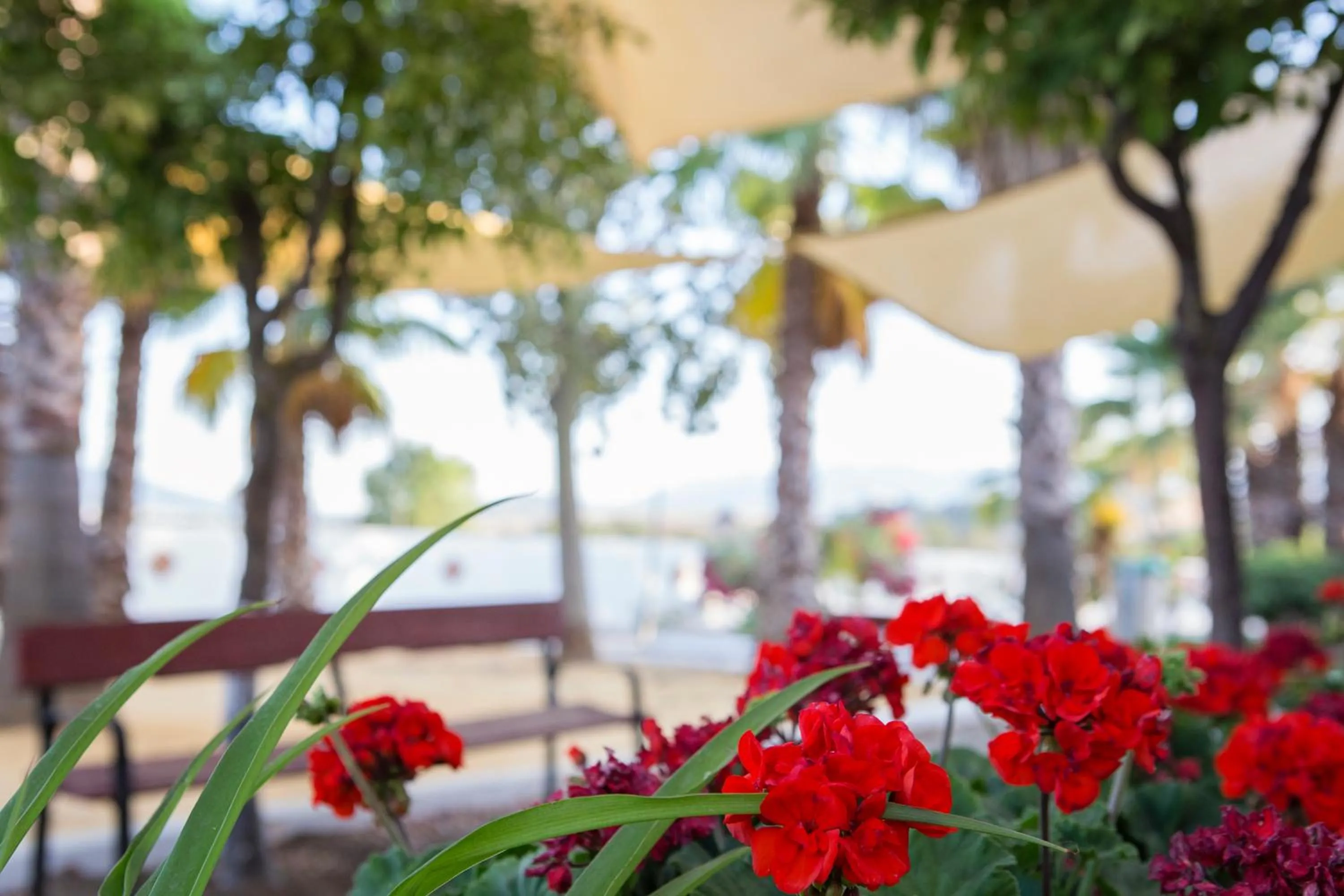 Garden in Hotel Cortijo del Arte - Caminito del Rey