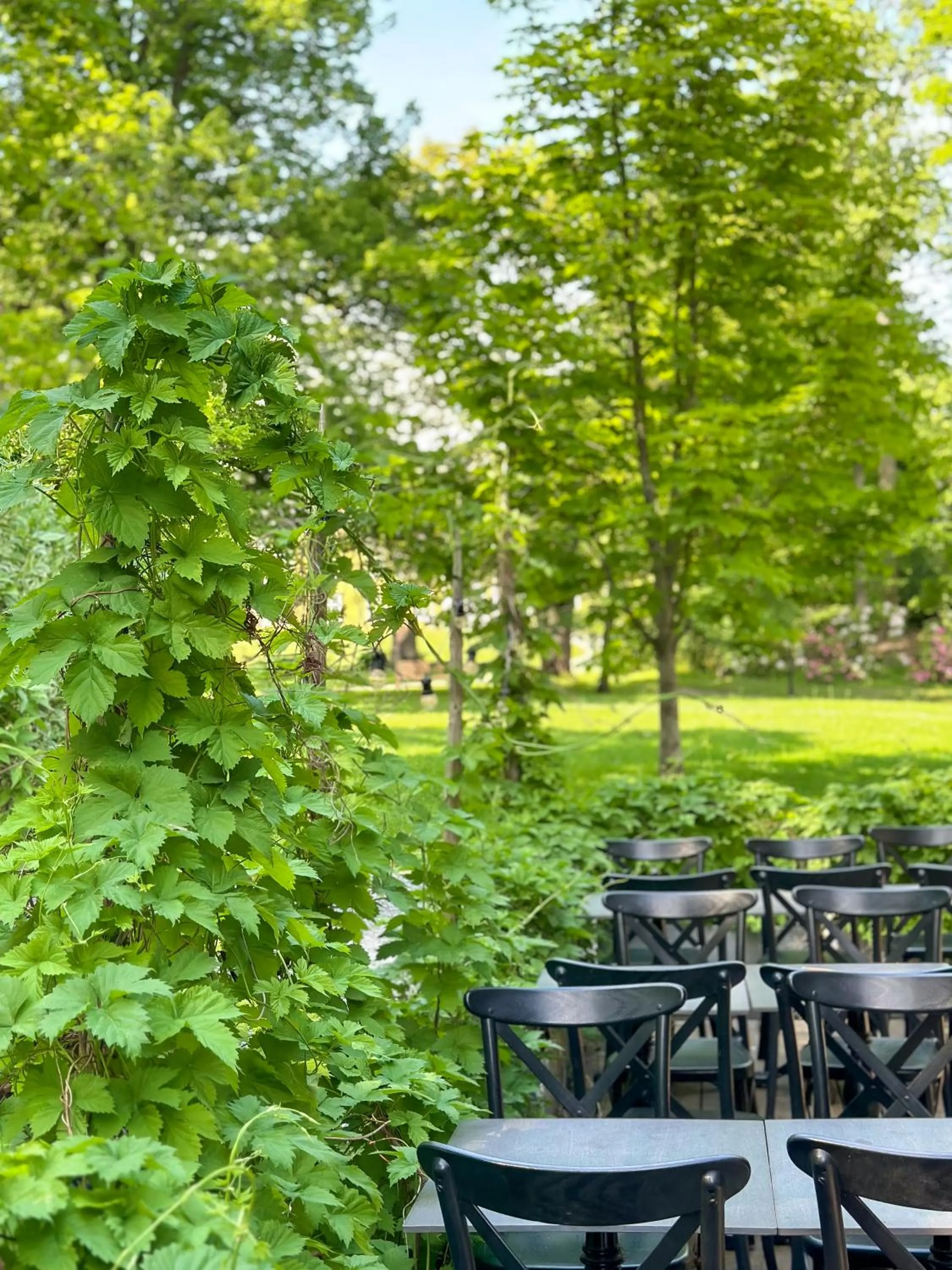 Restaurant/places to eat in Mustion Linna / Svartå Manor