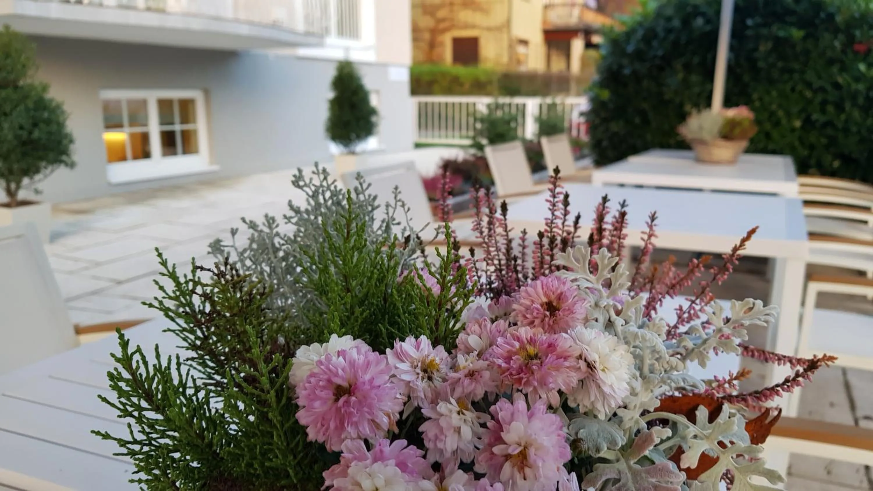 Autumn in The Little Guesthouse