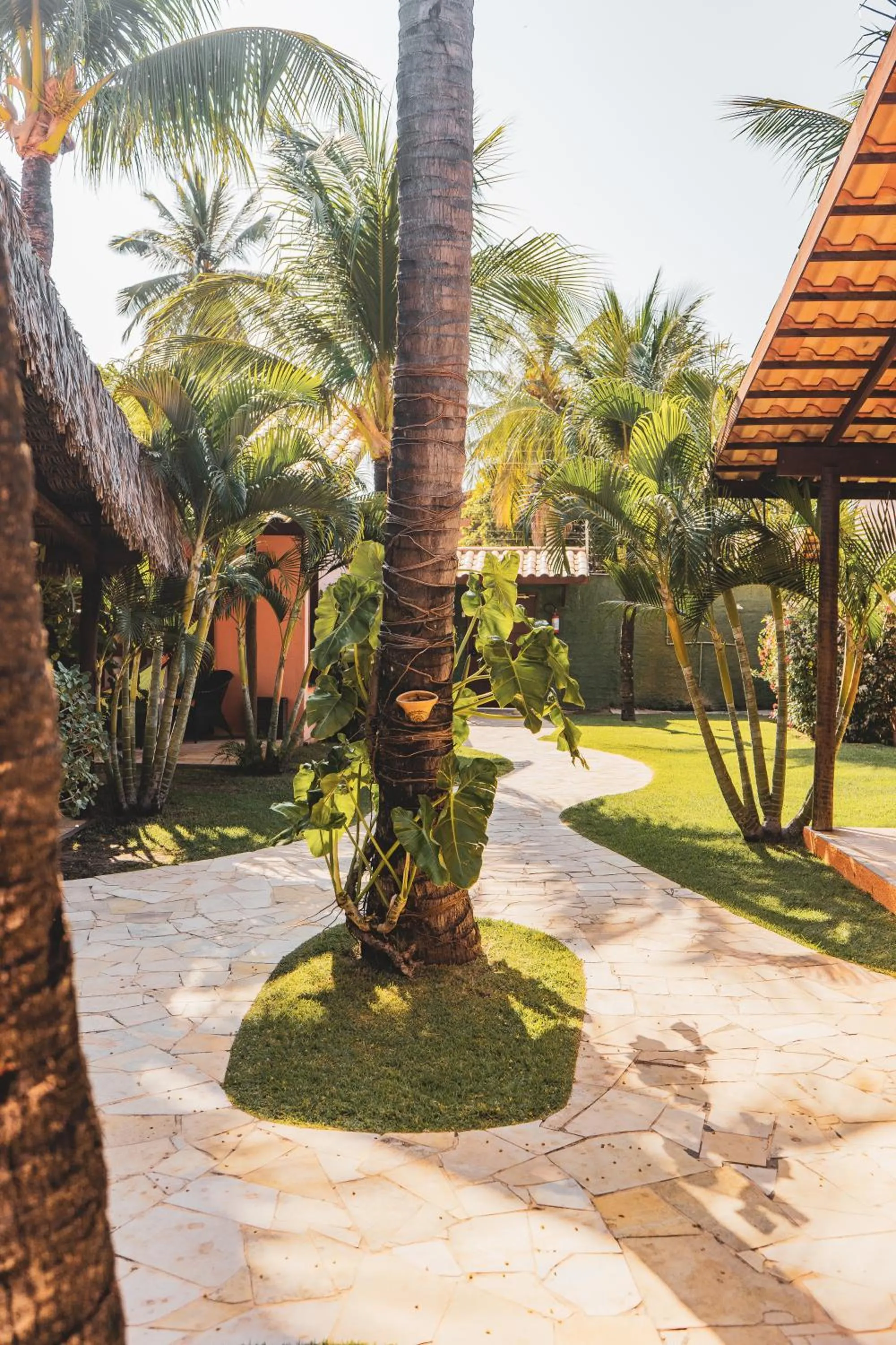 Garden view in Pousada Meeting Point & KiteSchool