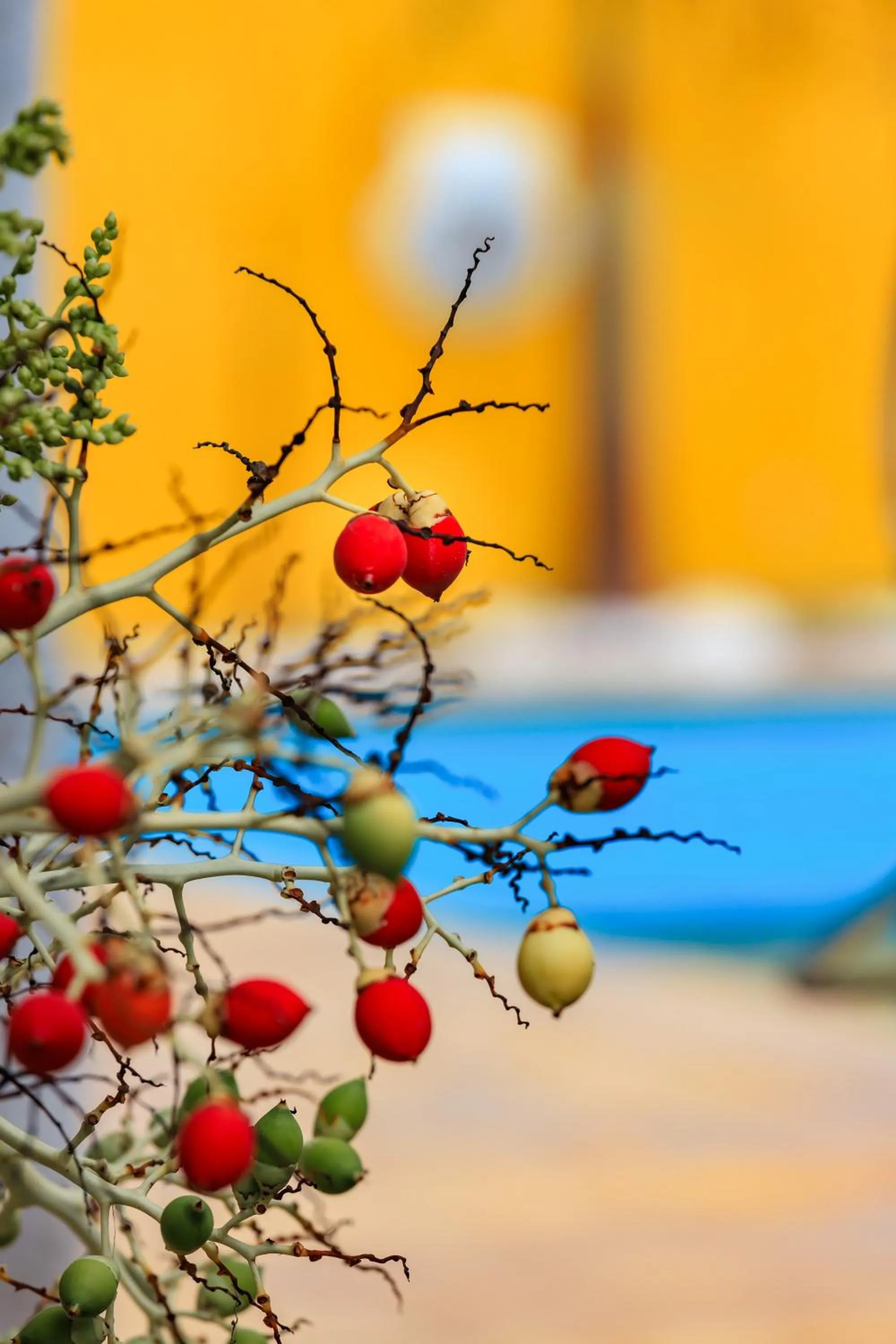 Natural landscape in Pousada Oásis