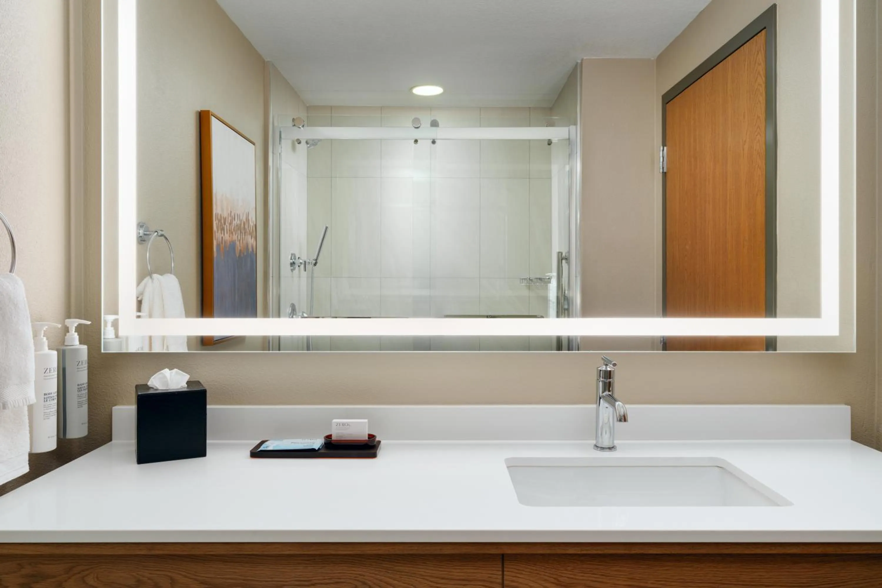 Bathroom in Embassy Suites North Charleston Airport Hotel Convention