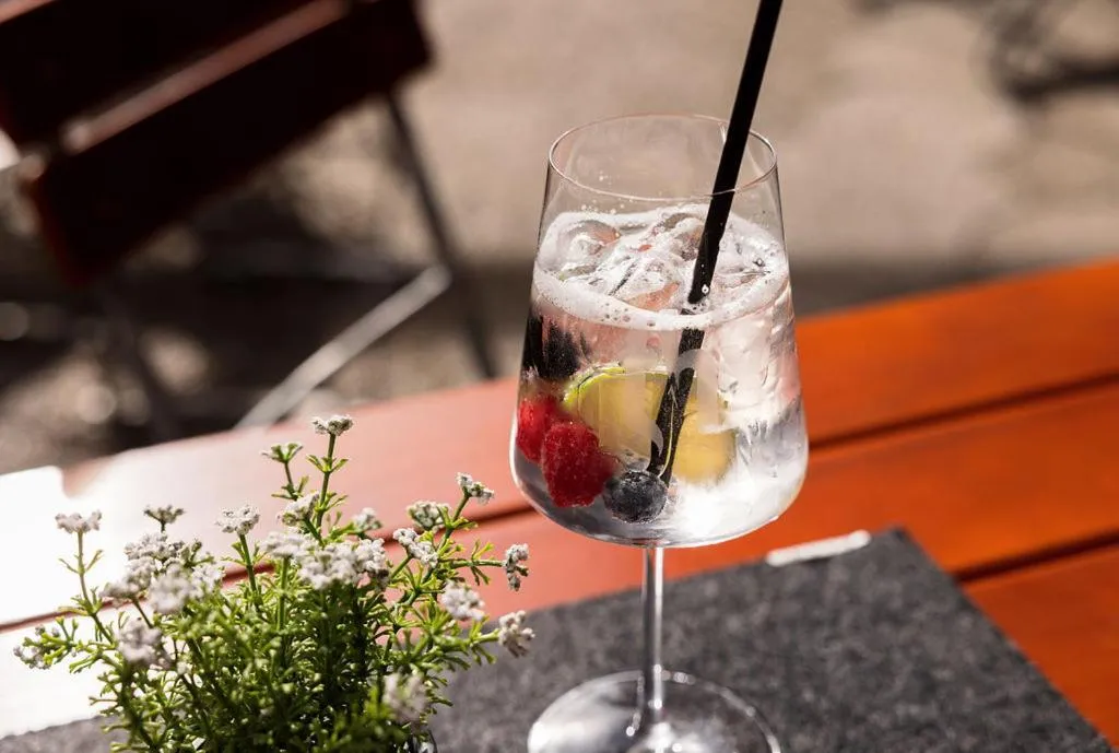 Drinks in Hotel Restaurant tauernhex