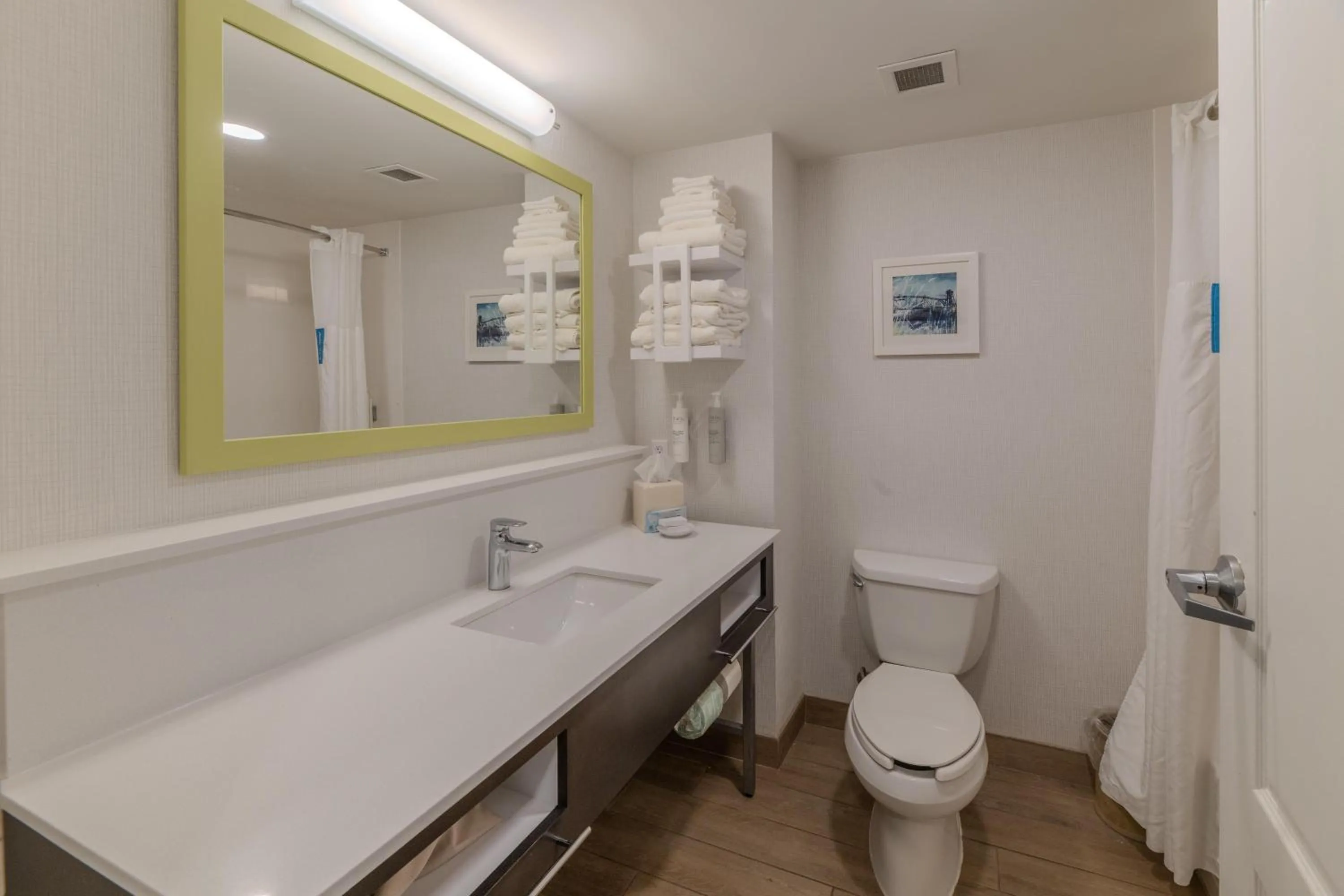 Bathroom in Hampton Inn & Suites-Florence Downtown