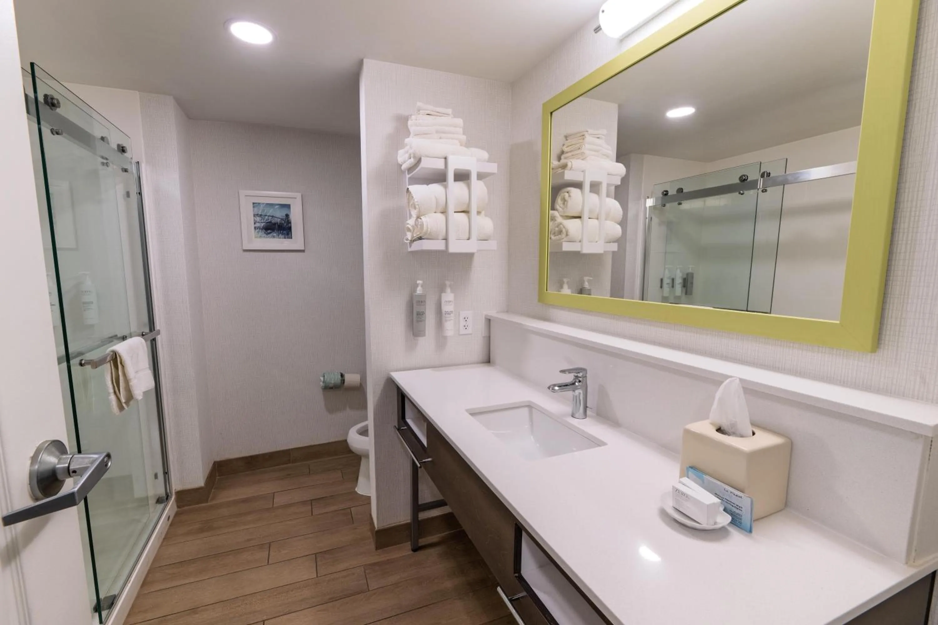 Bathroom in Hampton Inn & Suites-Florence Downtown