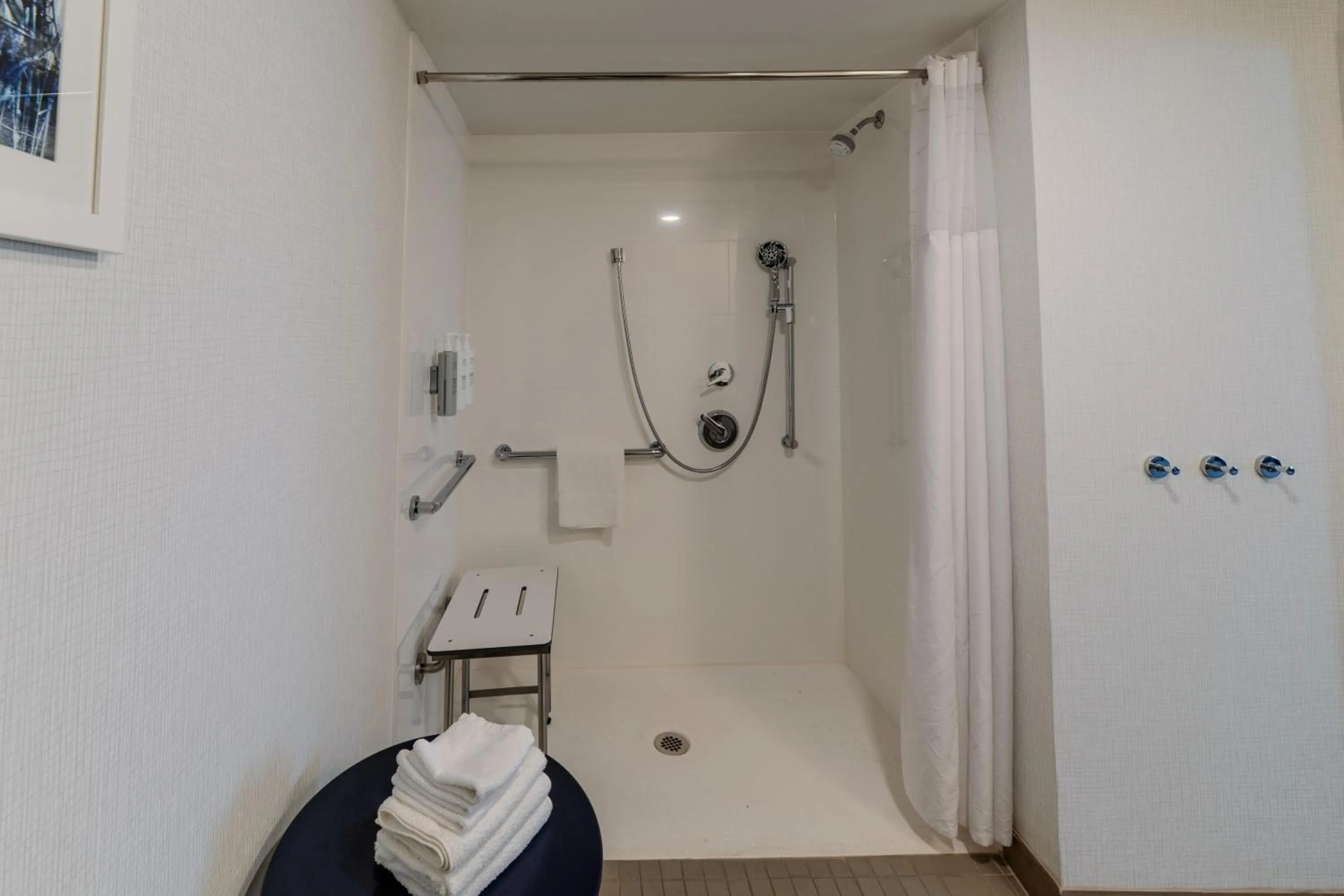 Bathroom in Hampton Inn & Suites-Florence Downtown