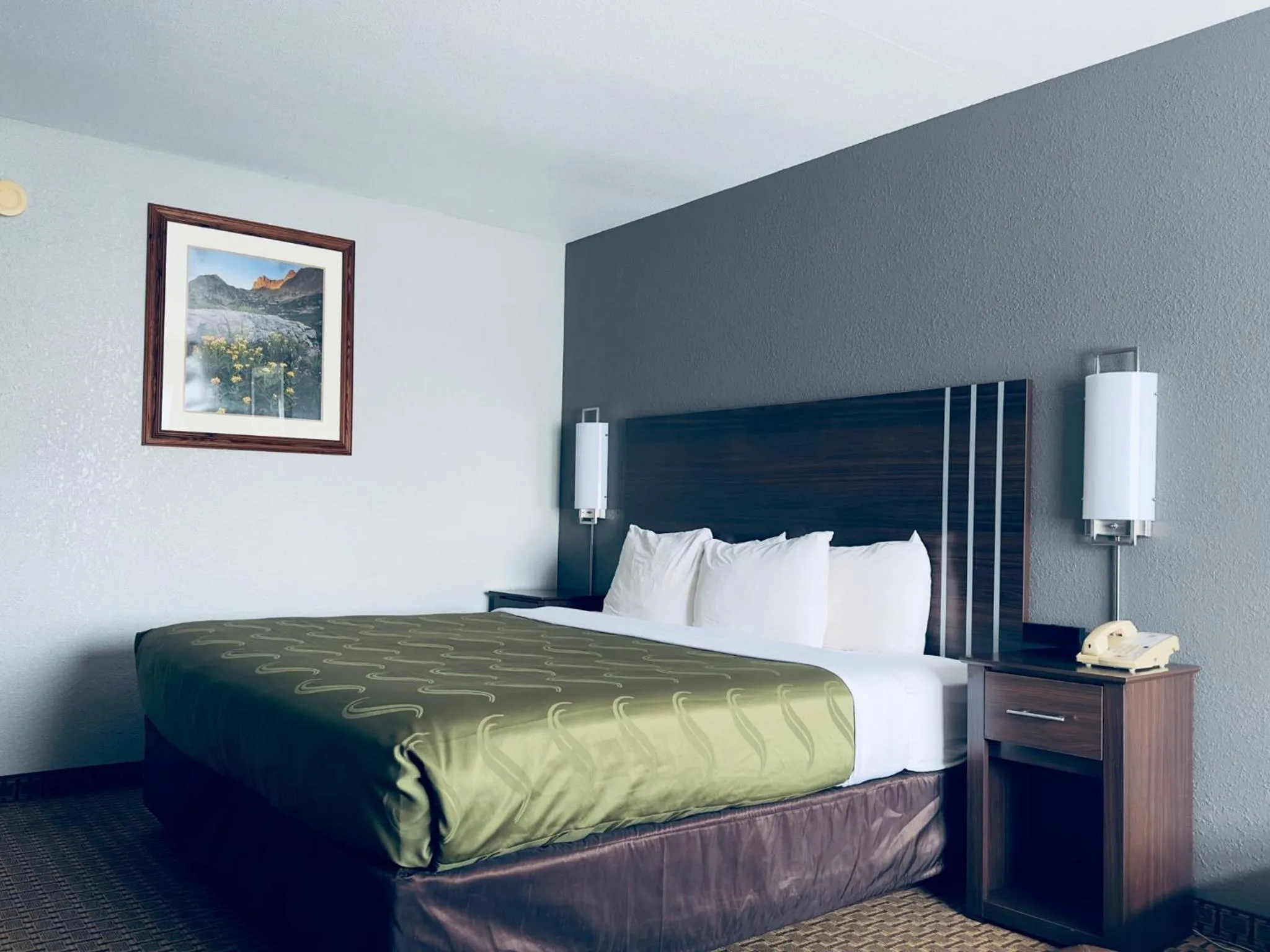 Bed in Quality Inn Durango